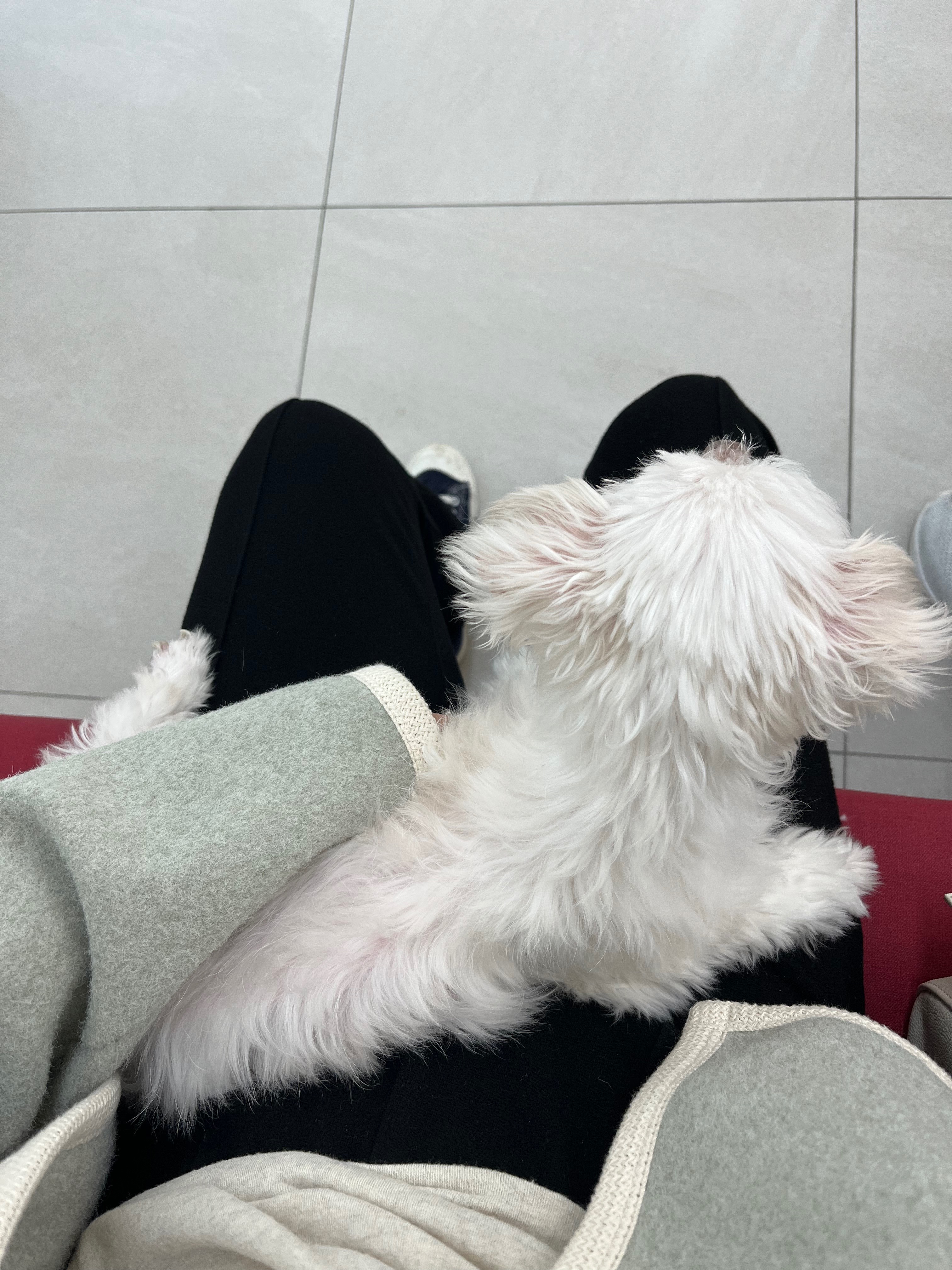 리뷰 사진 4