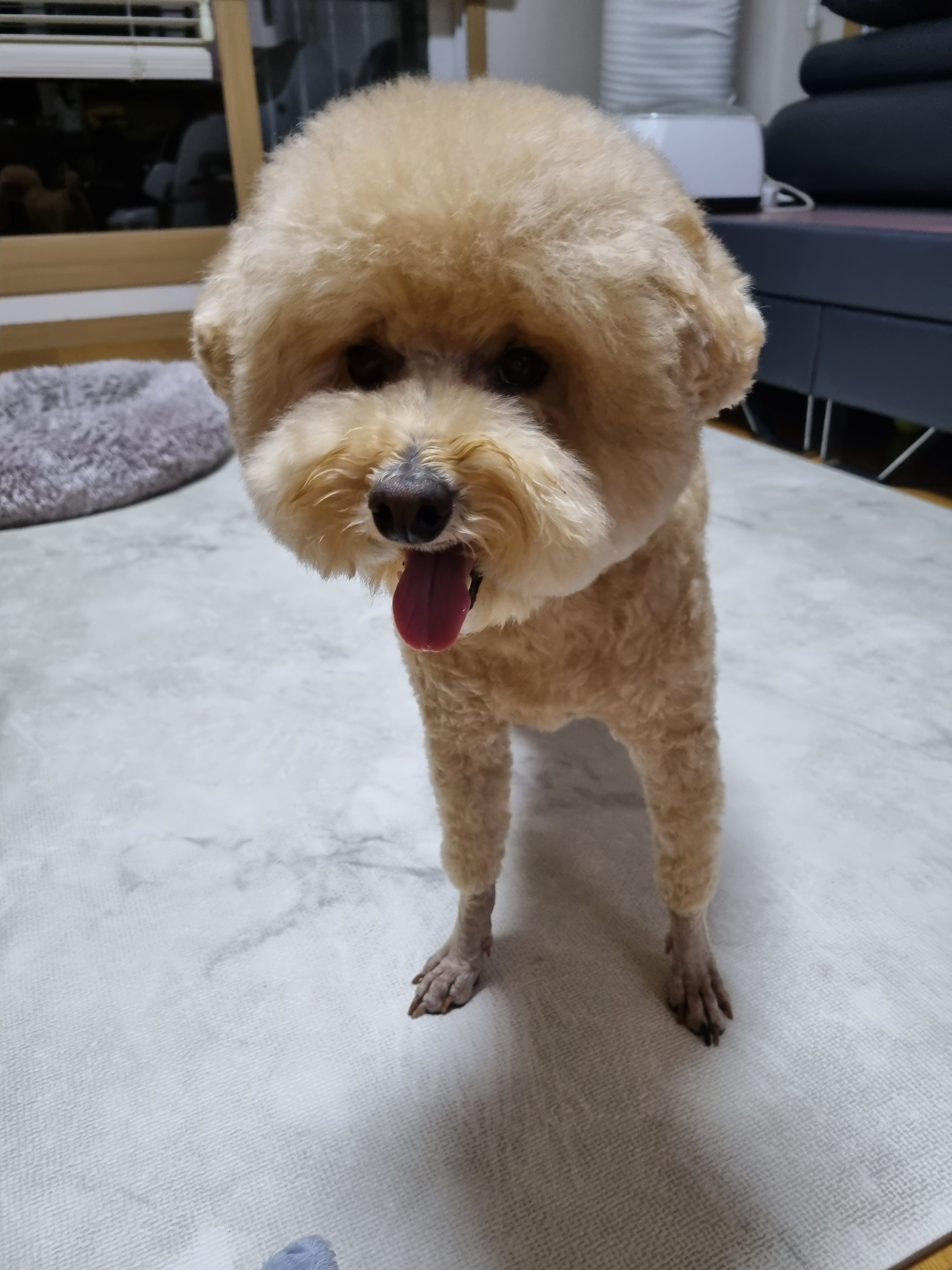 리뷰 사진 1