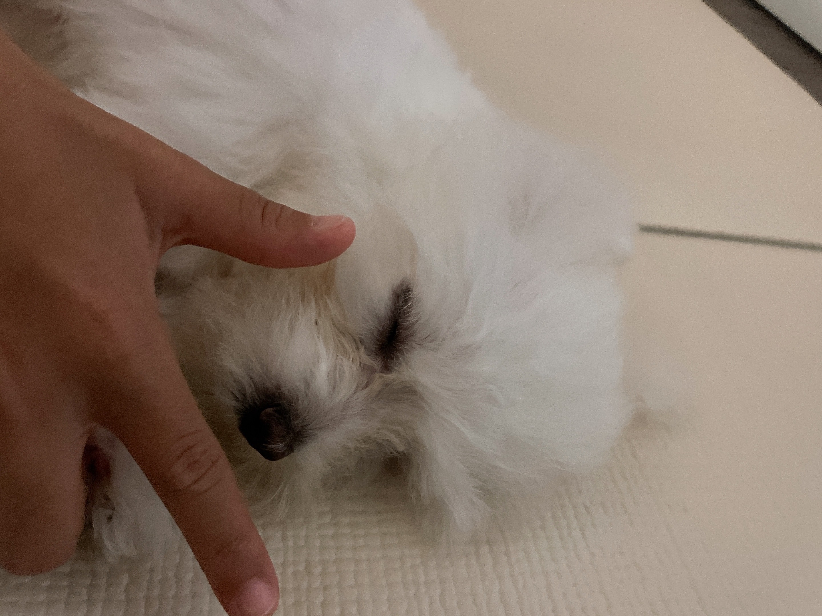 리뷰 사진 1