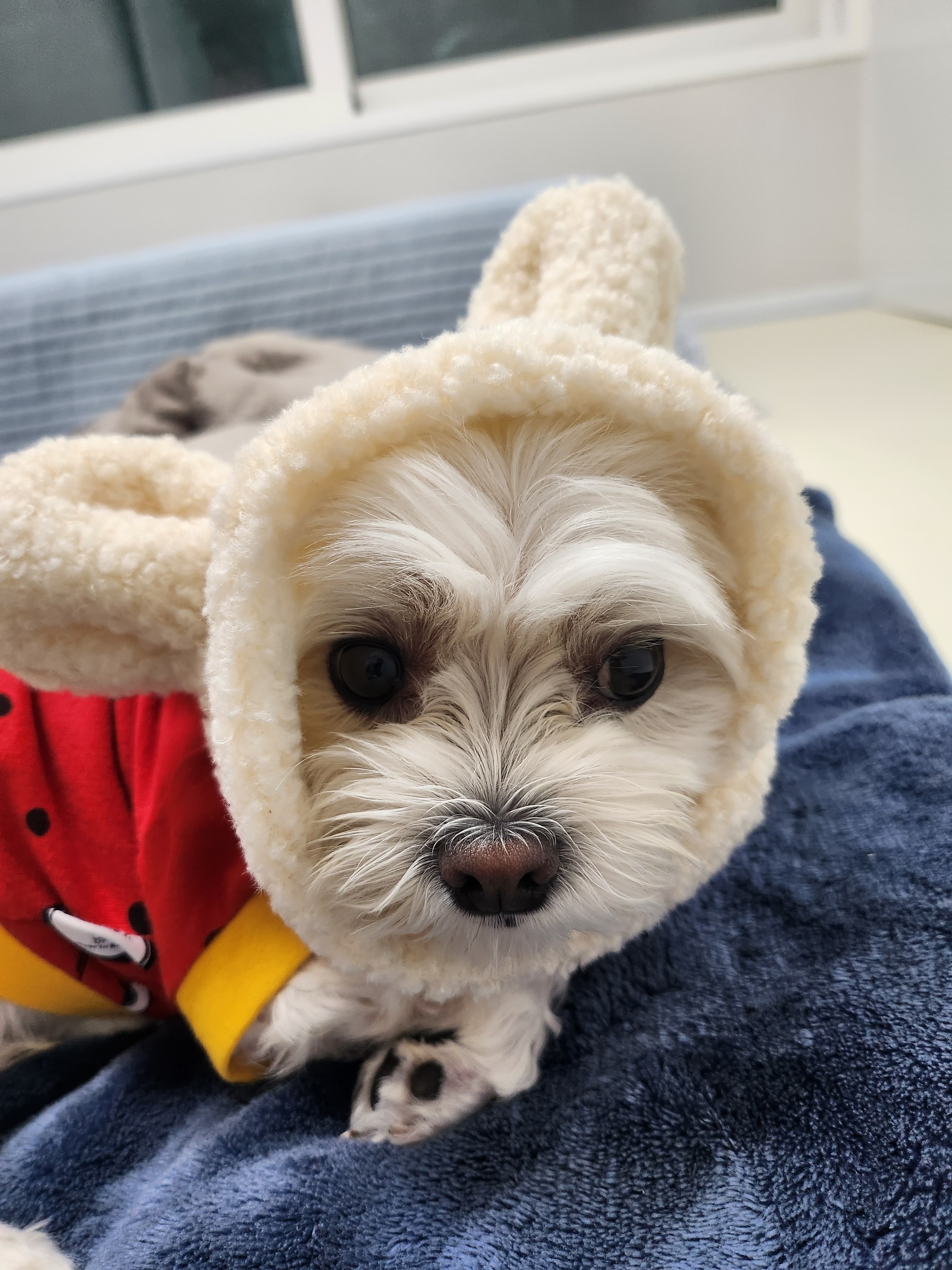 진정훈동물병원 사진 3