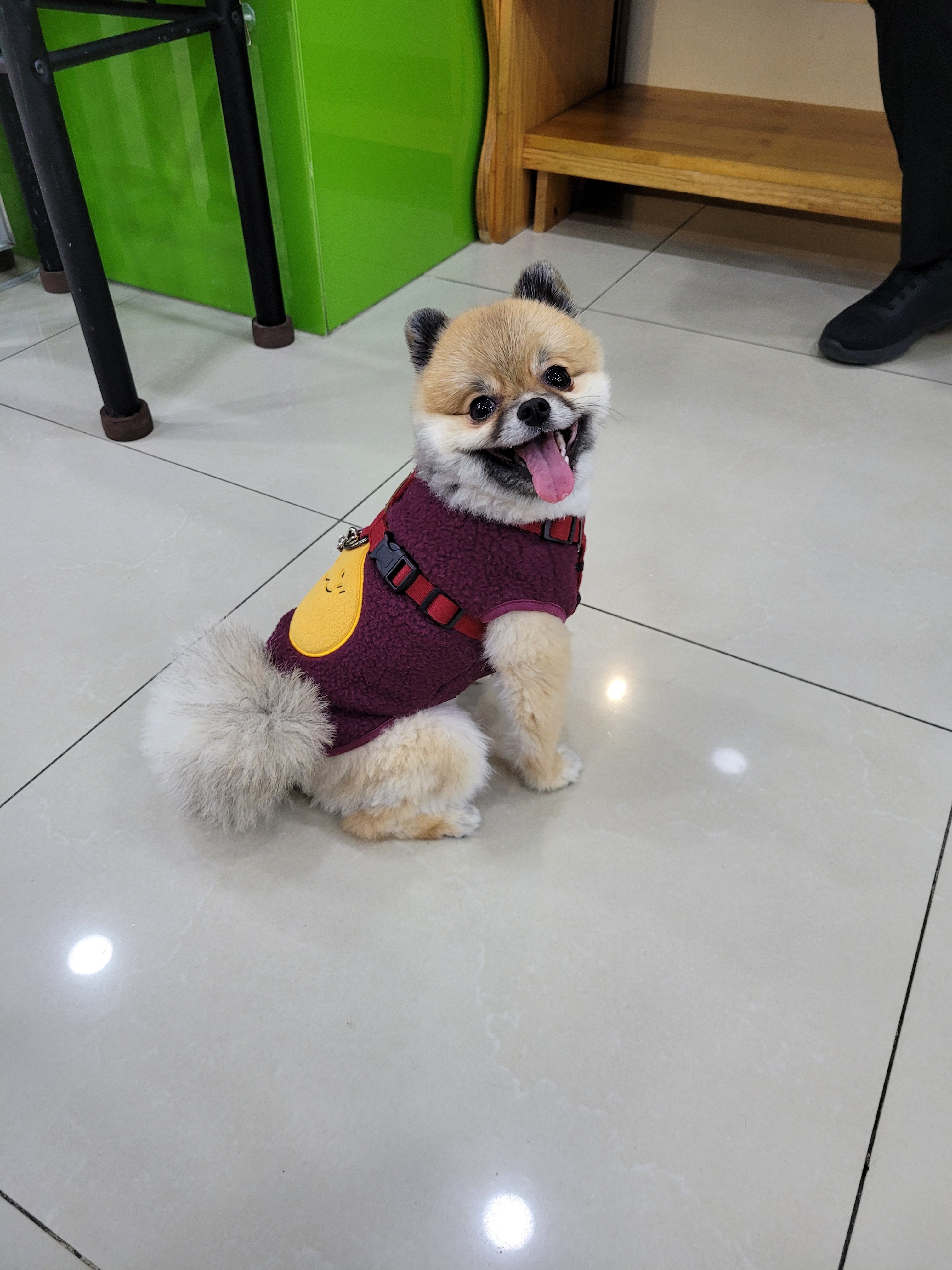 리뷰 사진 8