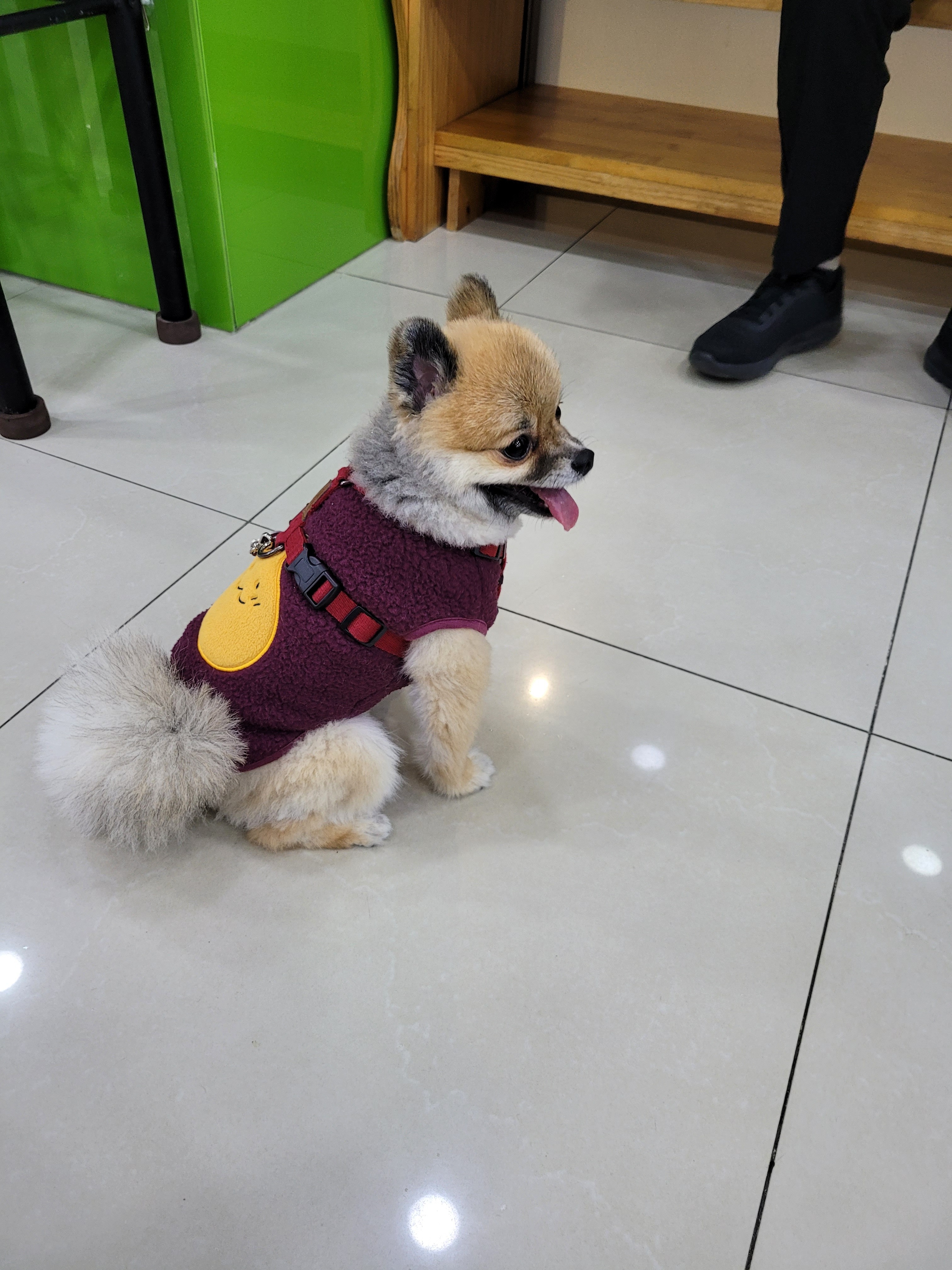 리뷰 사진 7