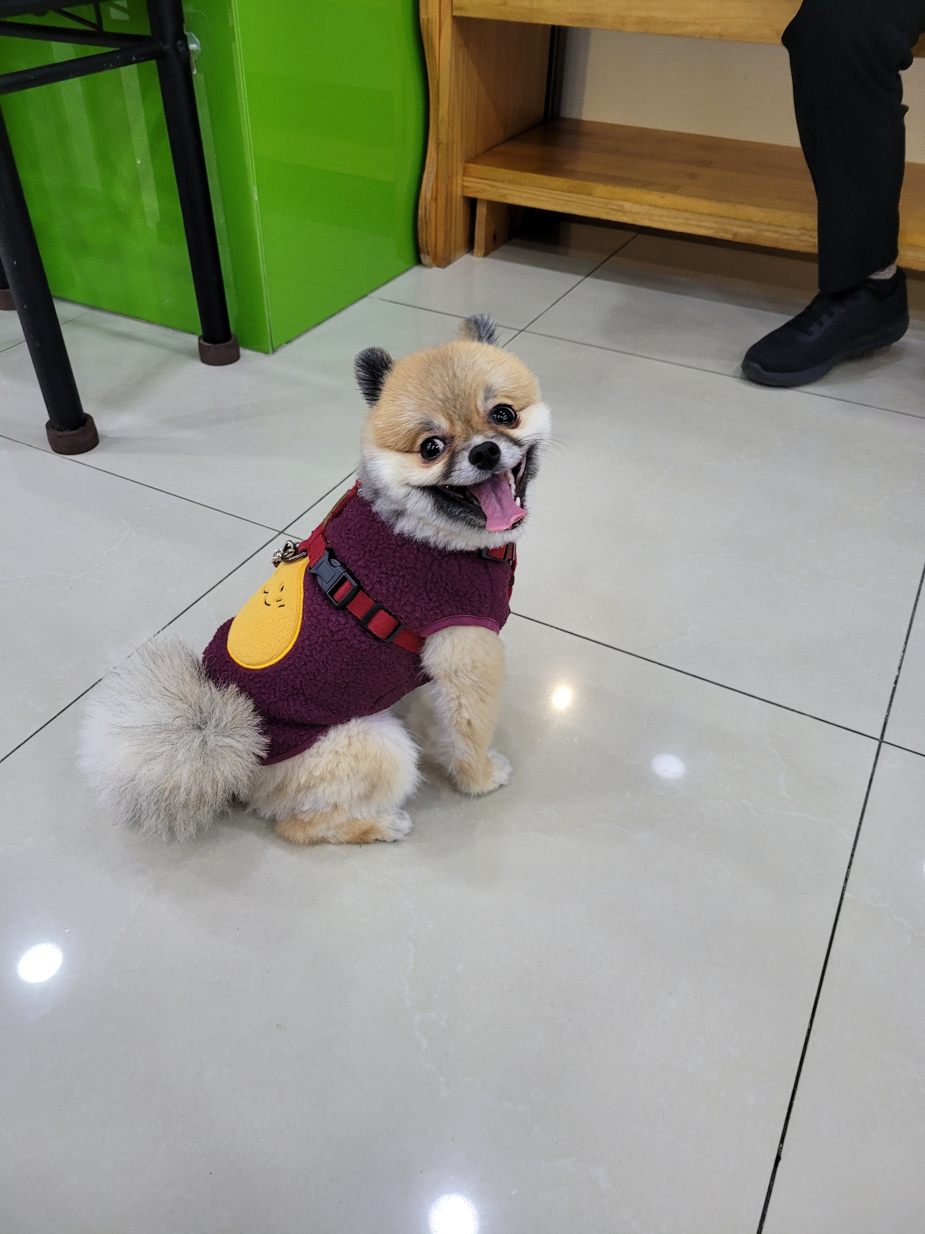 리뷰 사진 9