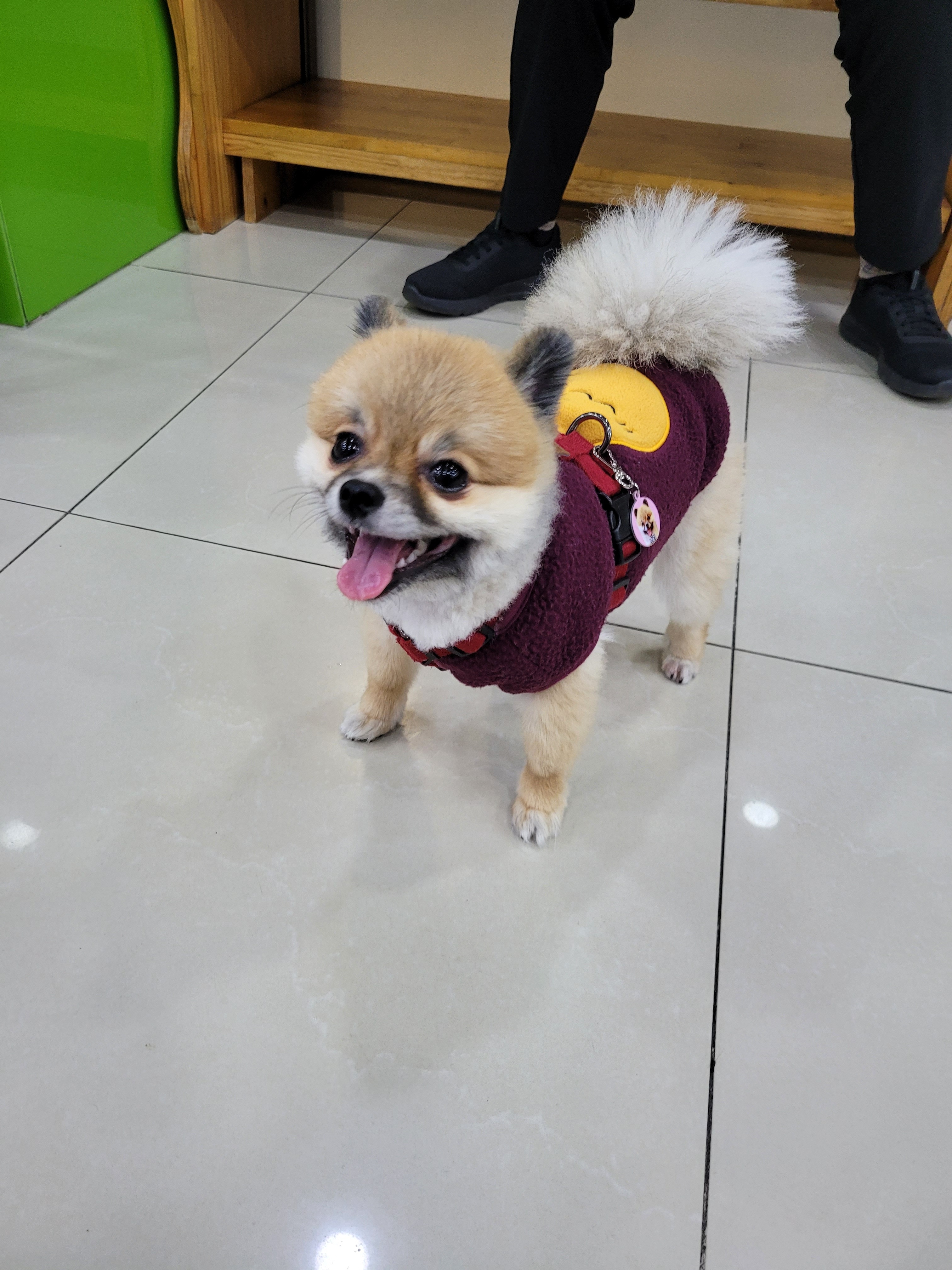 리뷰 사진 2