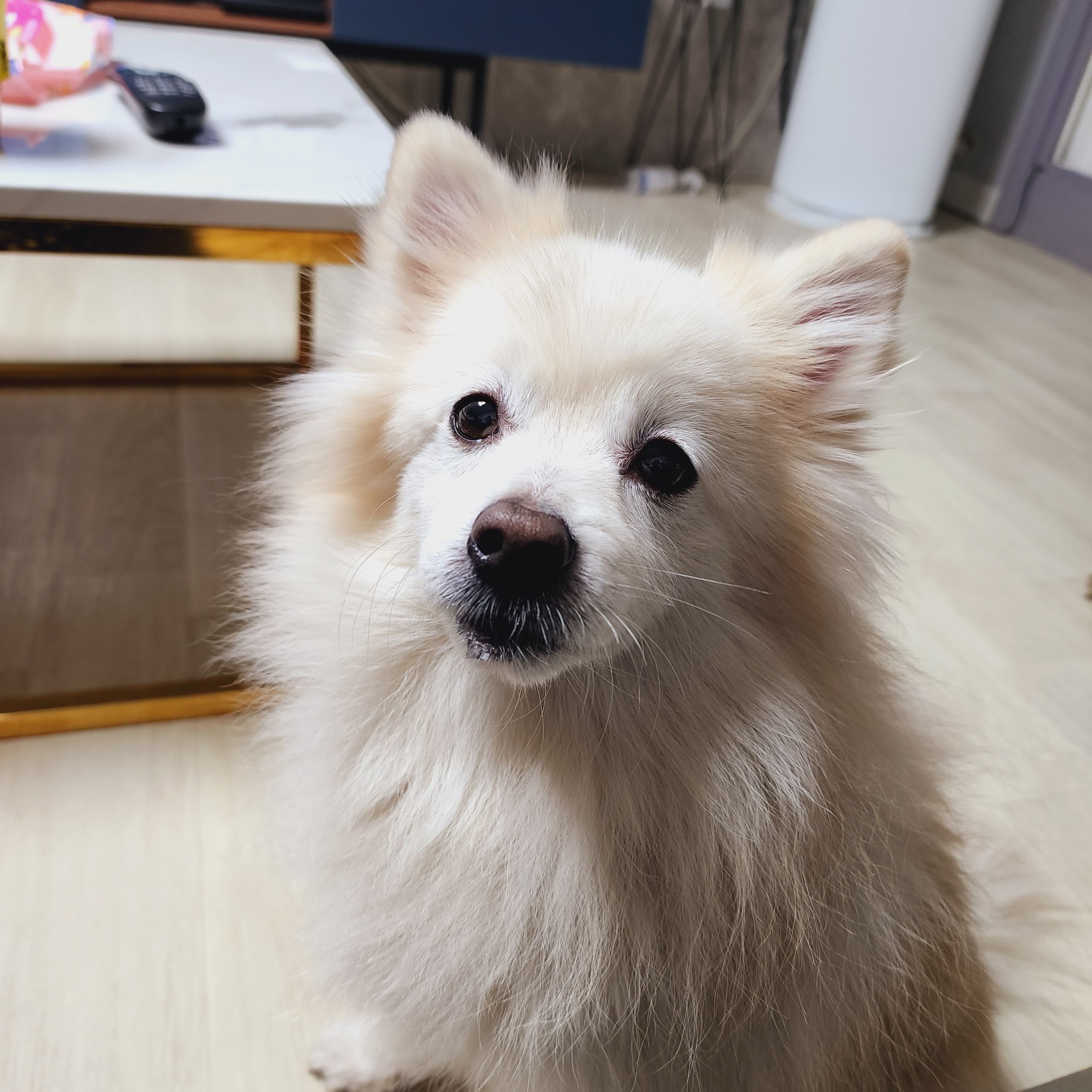 리뷰 사진 1