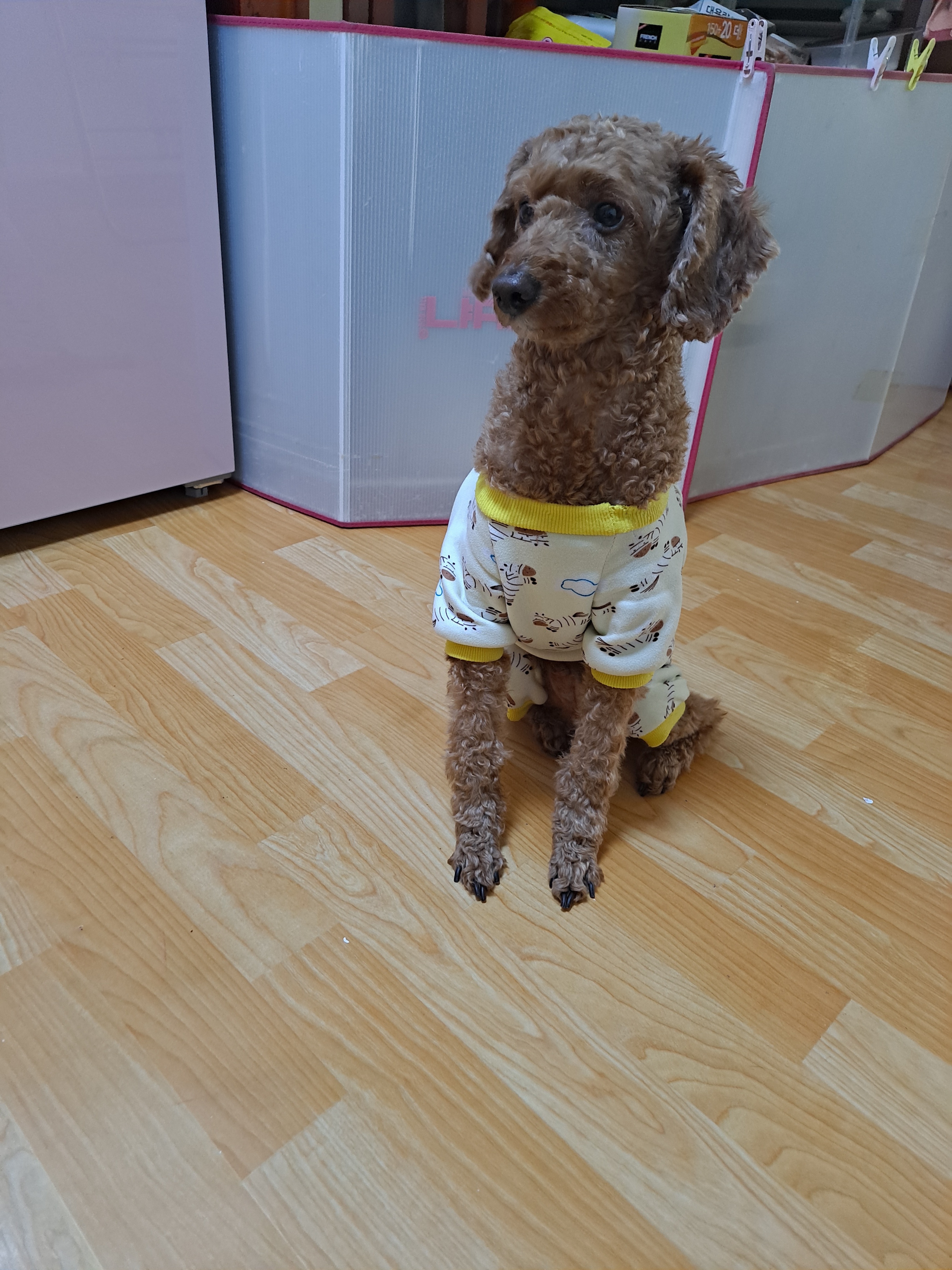 리뷰 사진 1