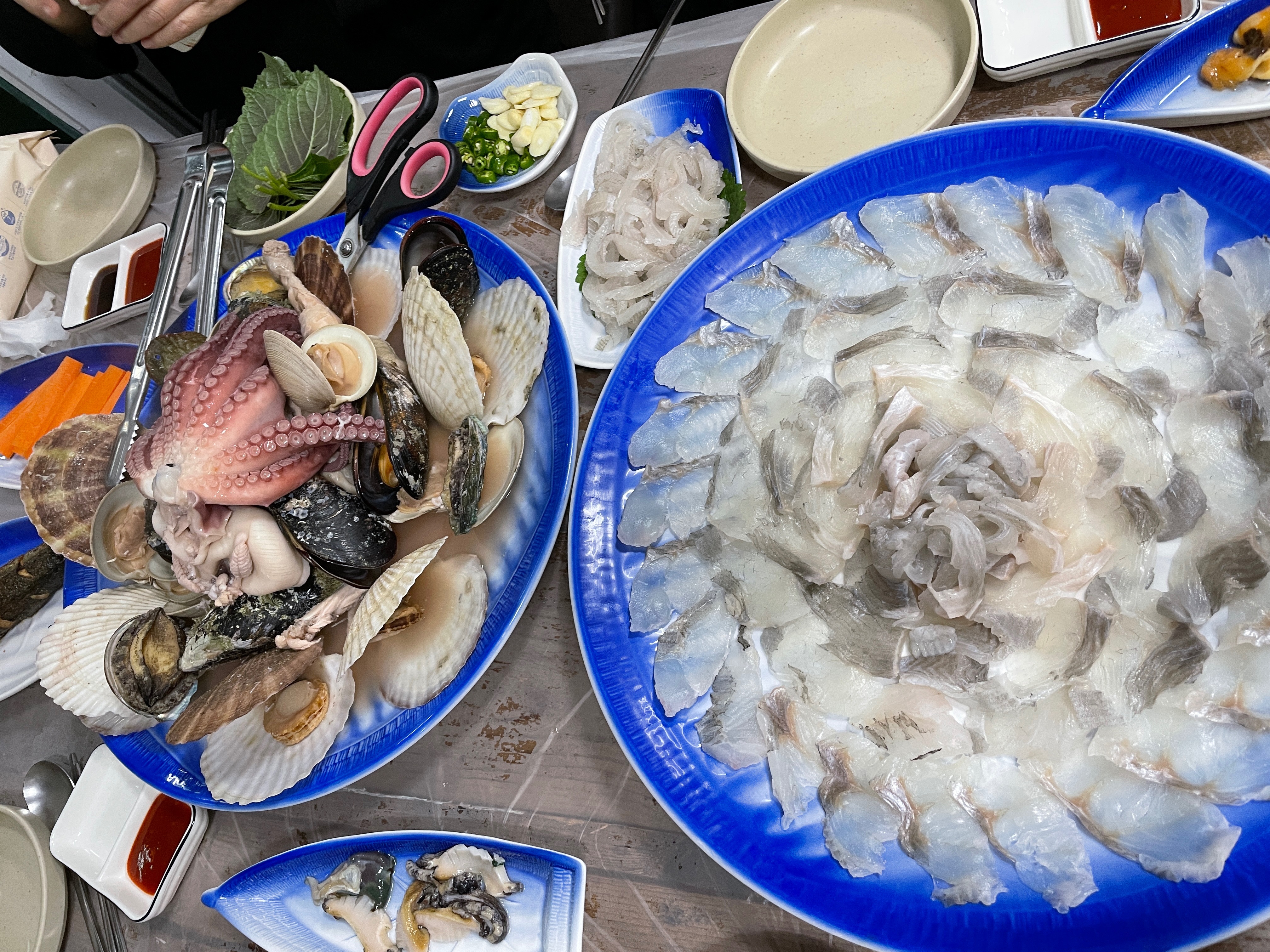 [삼척 맛집 성준수산] 직접 가본 로컬 리뷰