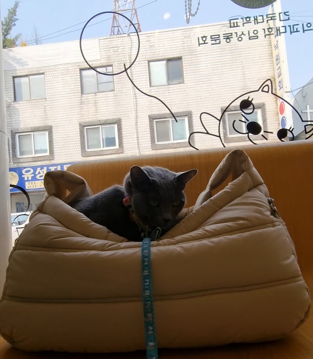 리뷰 사진 1