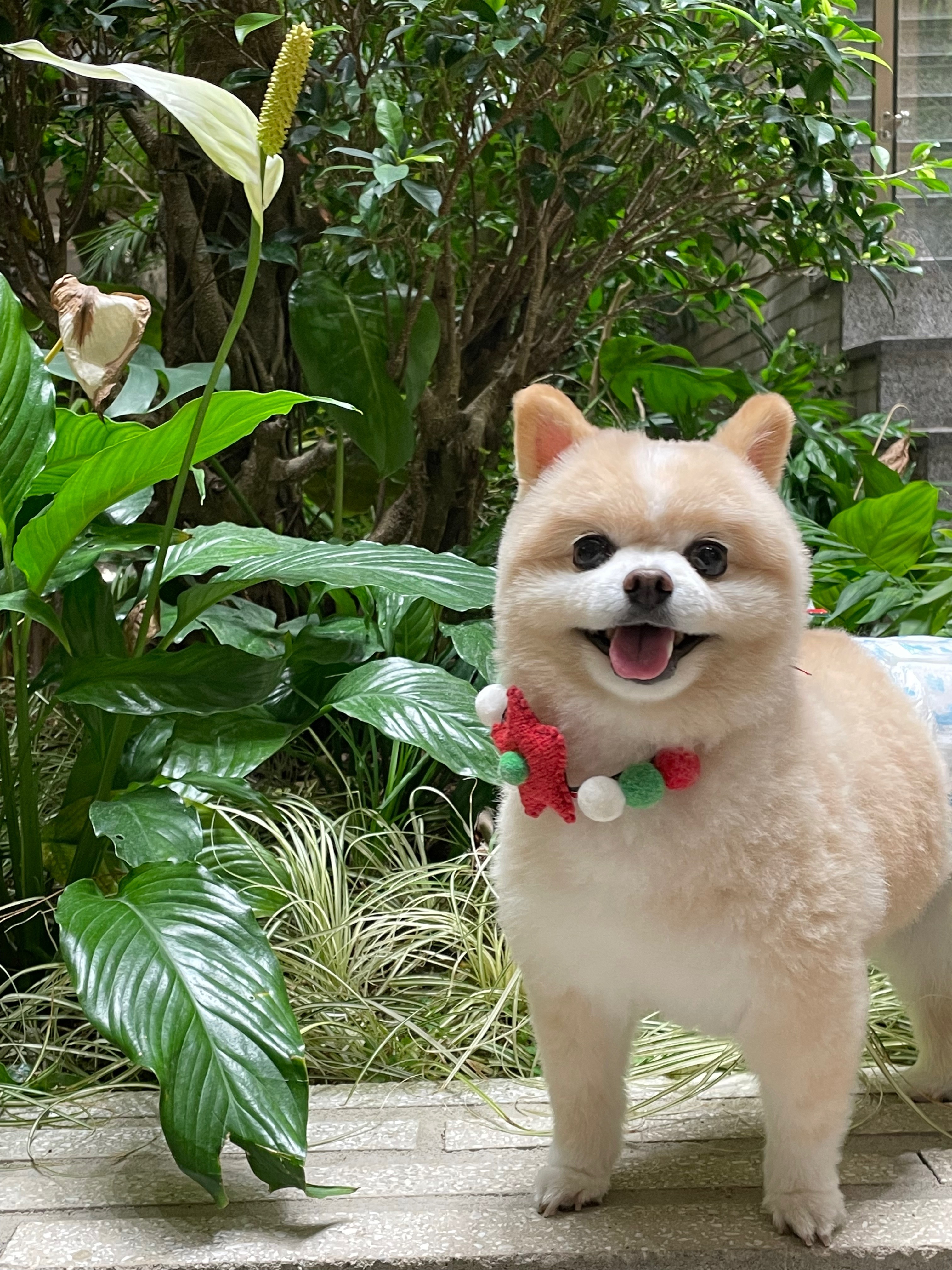 리뷰 사진 1