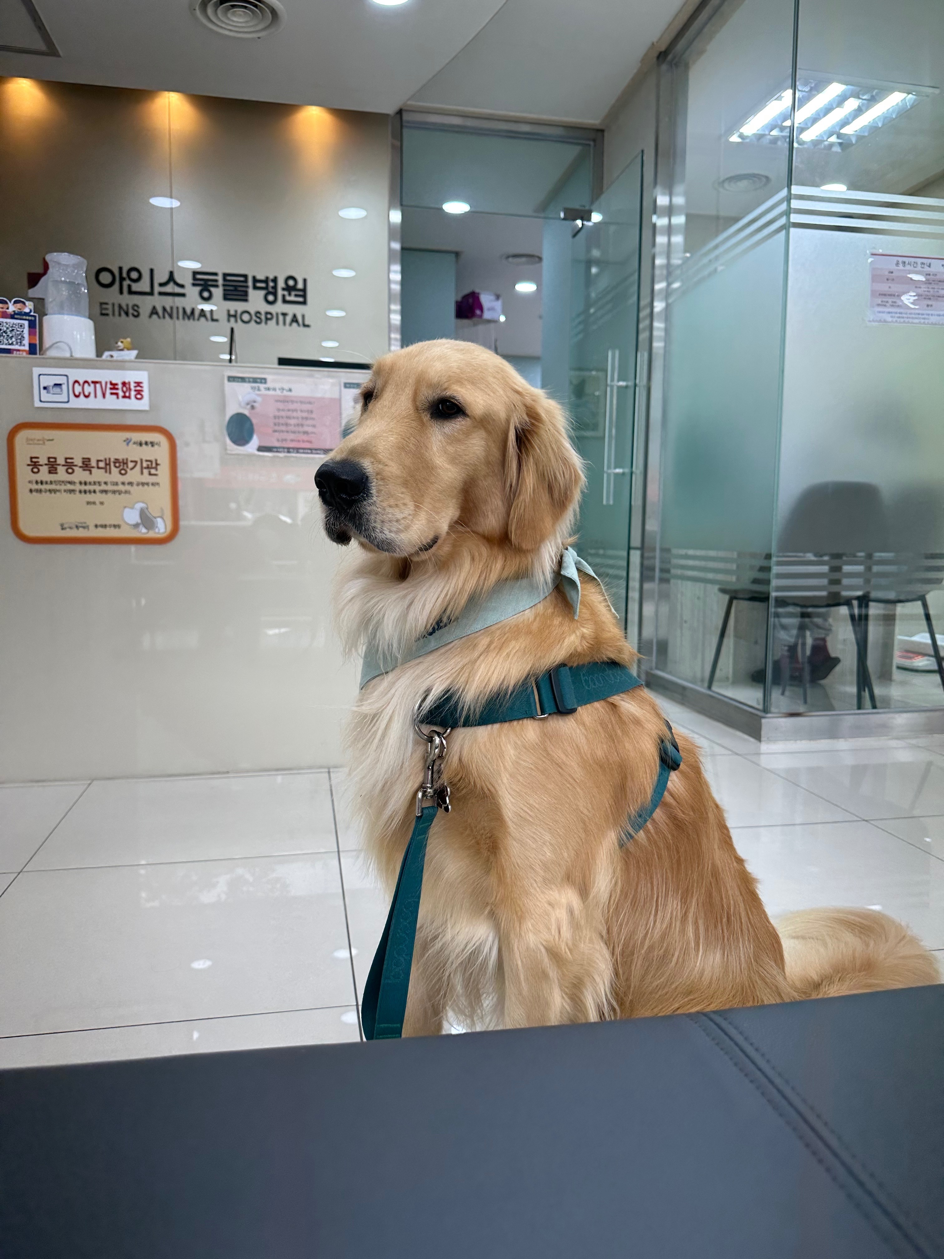 리뷰 사진 1