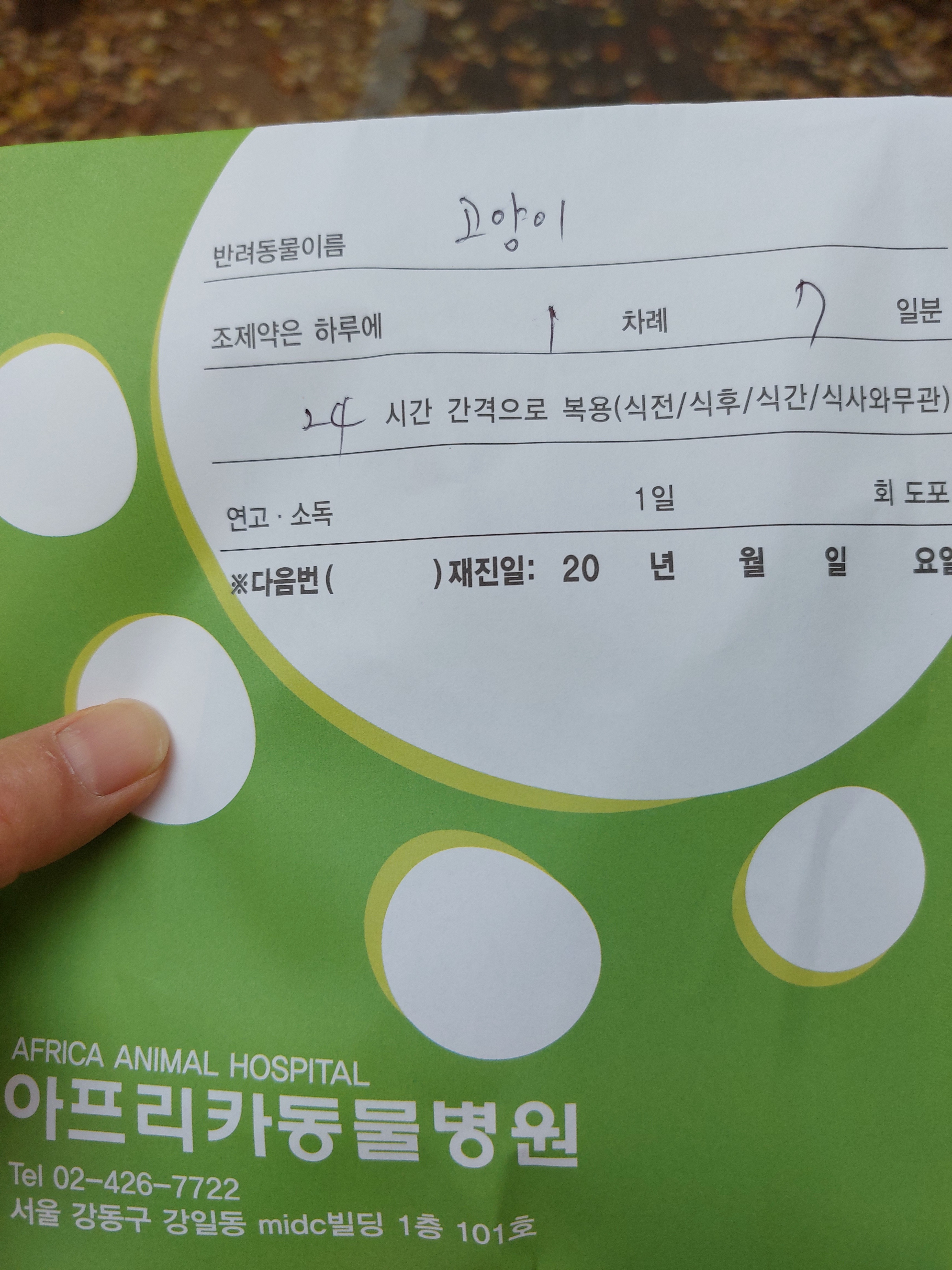 아프리카동물병원 사진 2