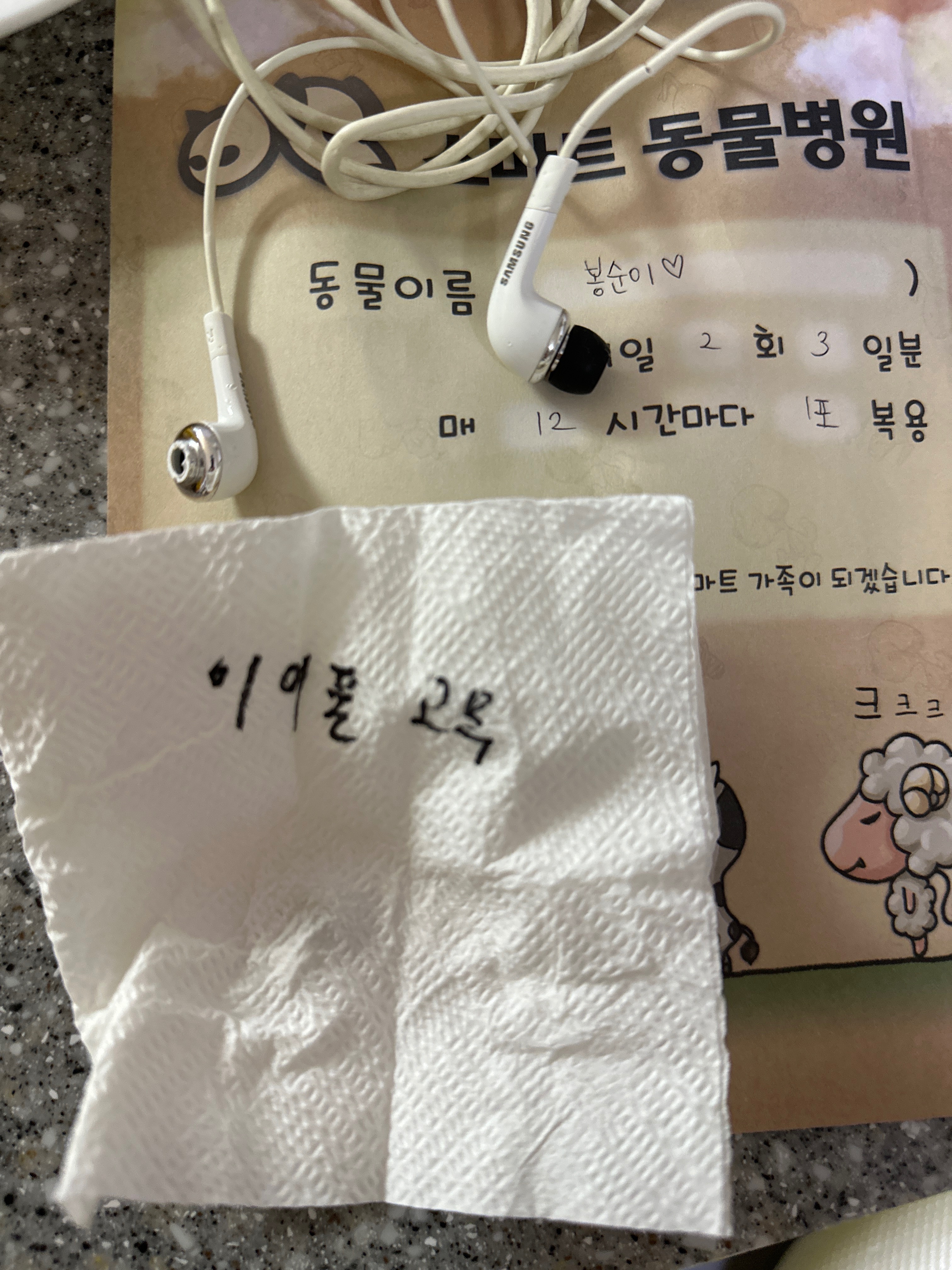 리뷰 사진 1