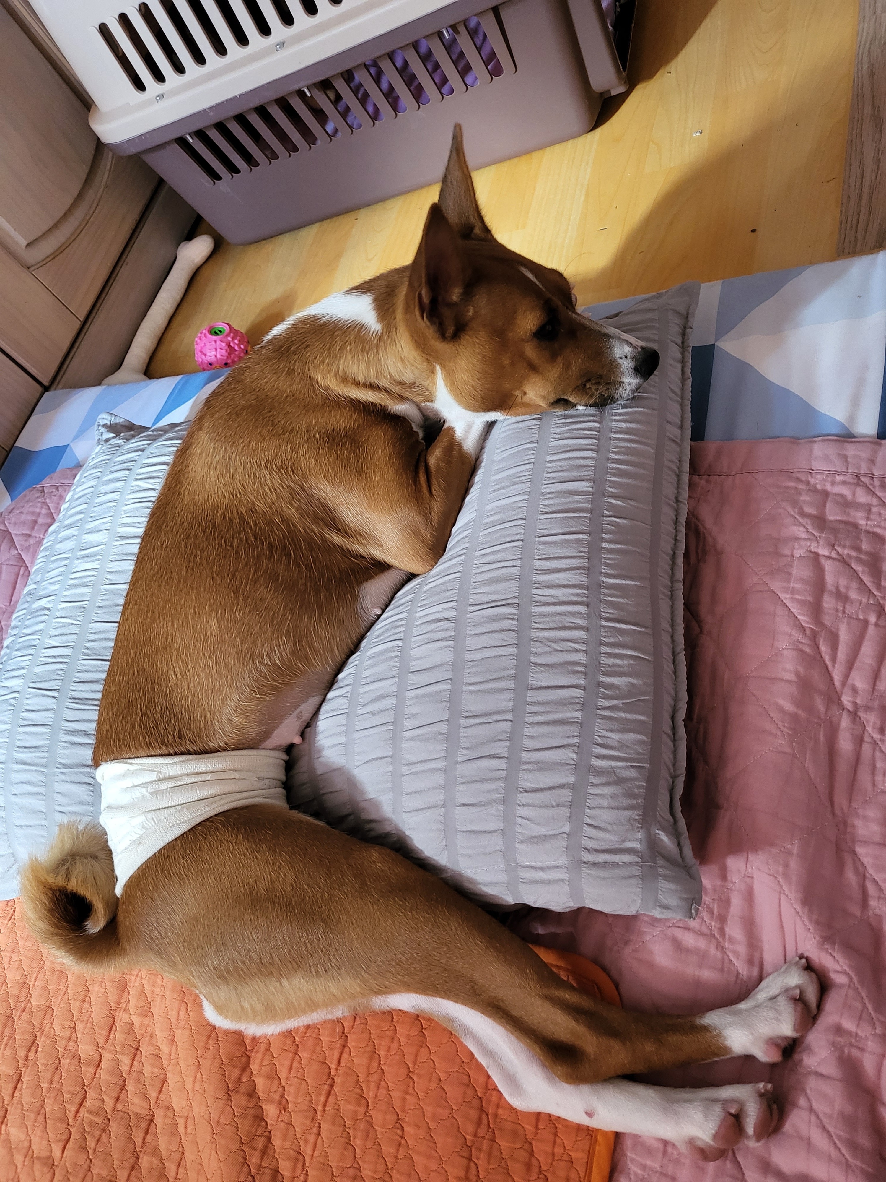 리뷰 사진 1
