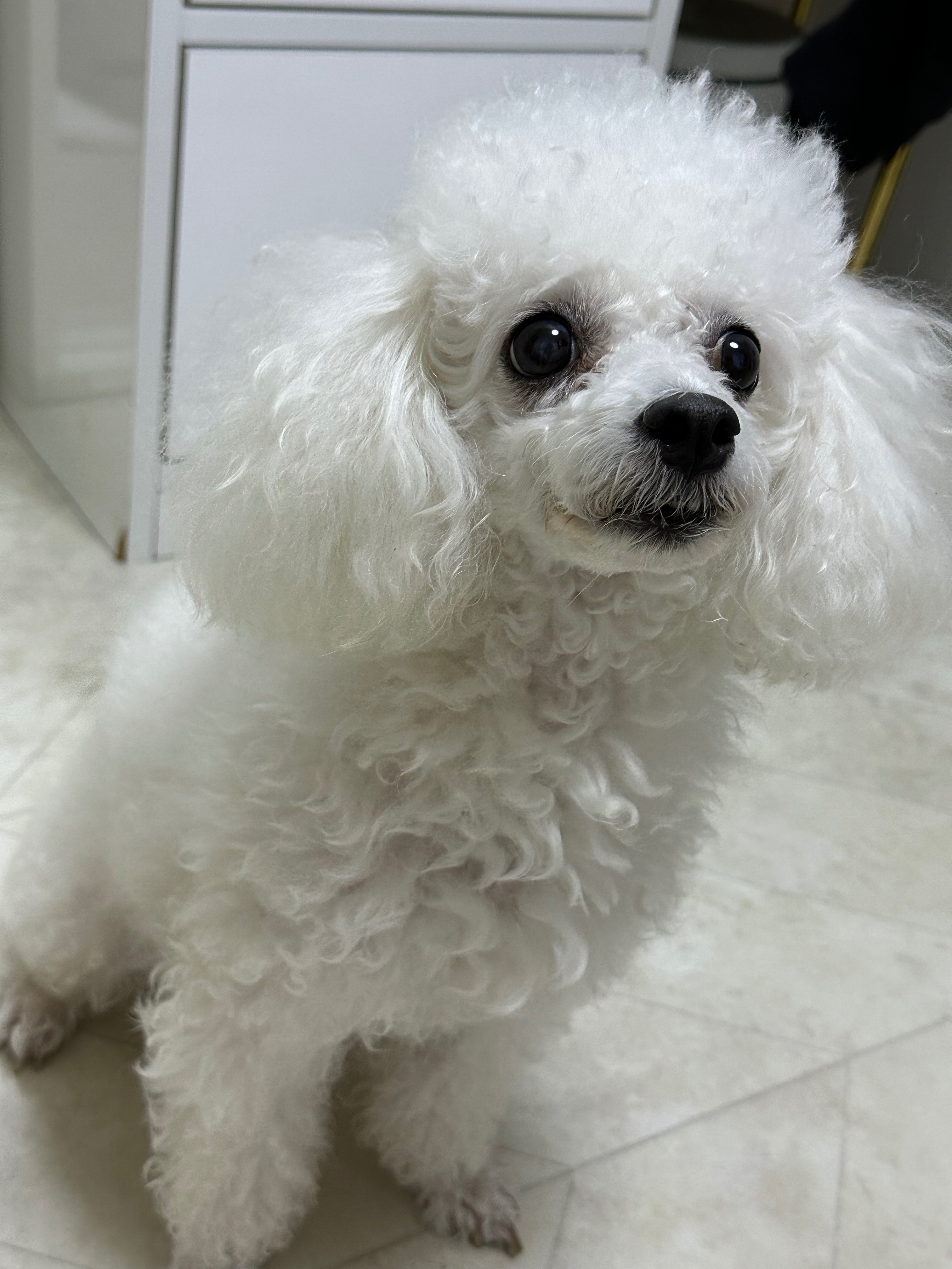 리뷰 사진 1