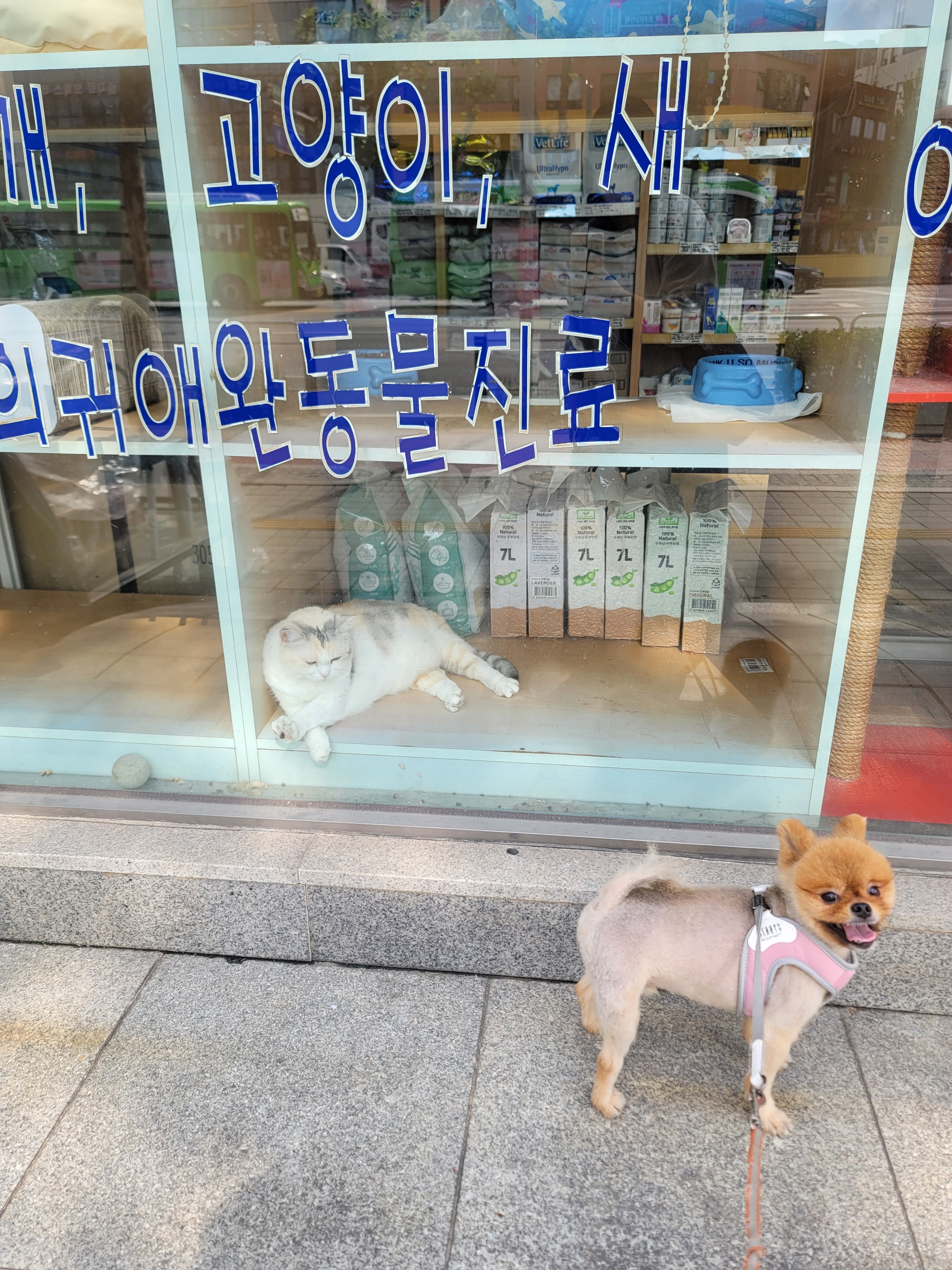 잠실종합동물병원 사진 2