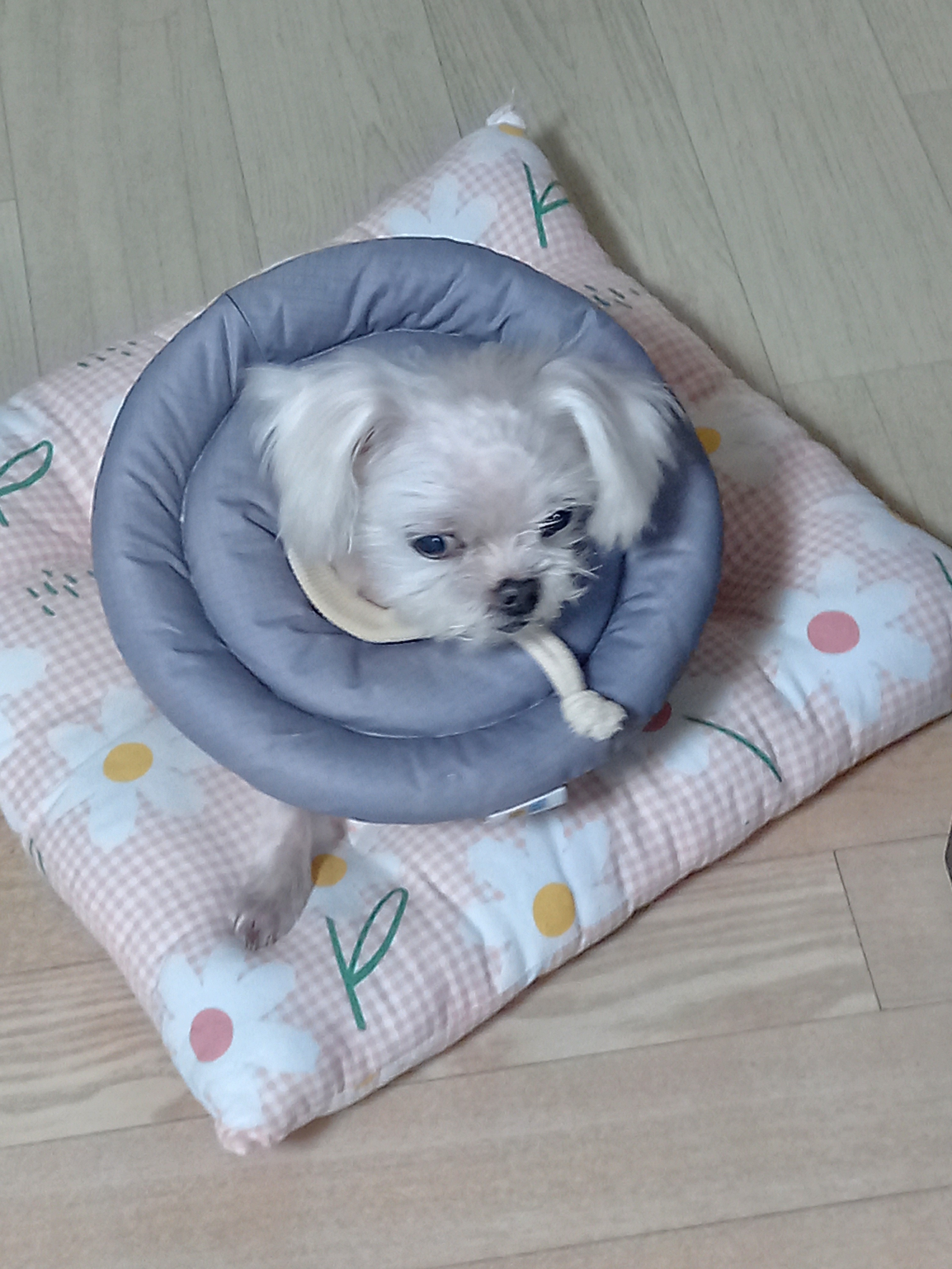 리뷰 사진 2