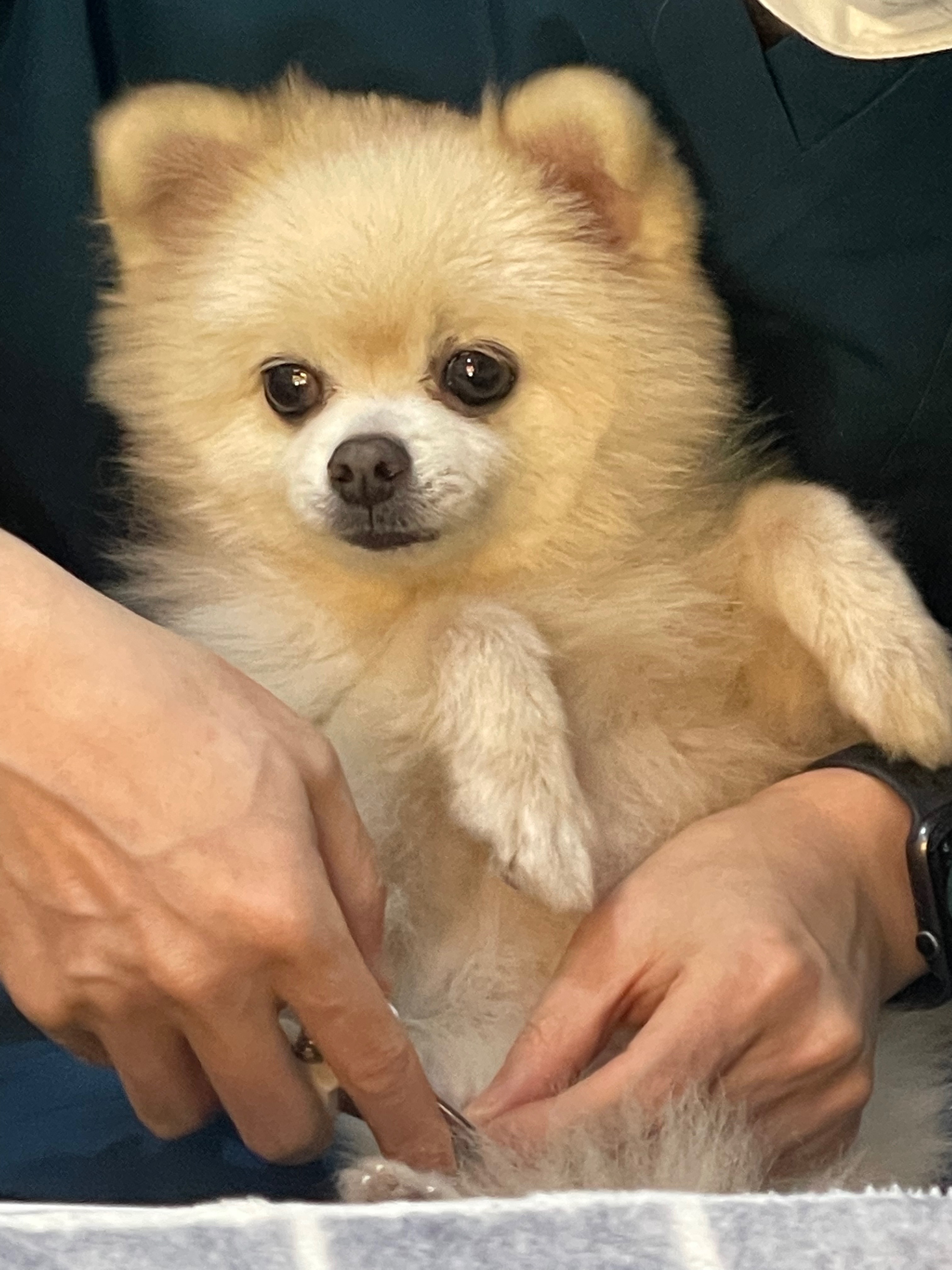 리뷰 사진 3