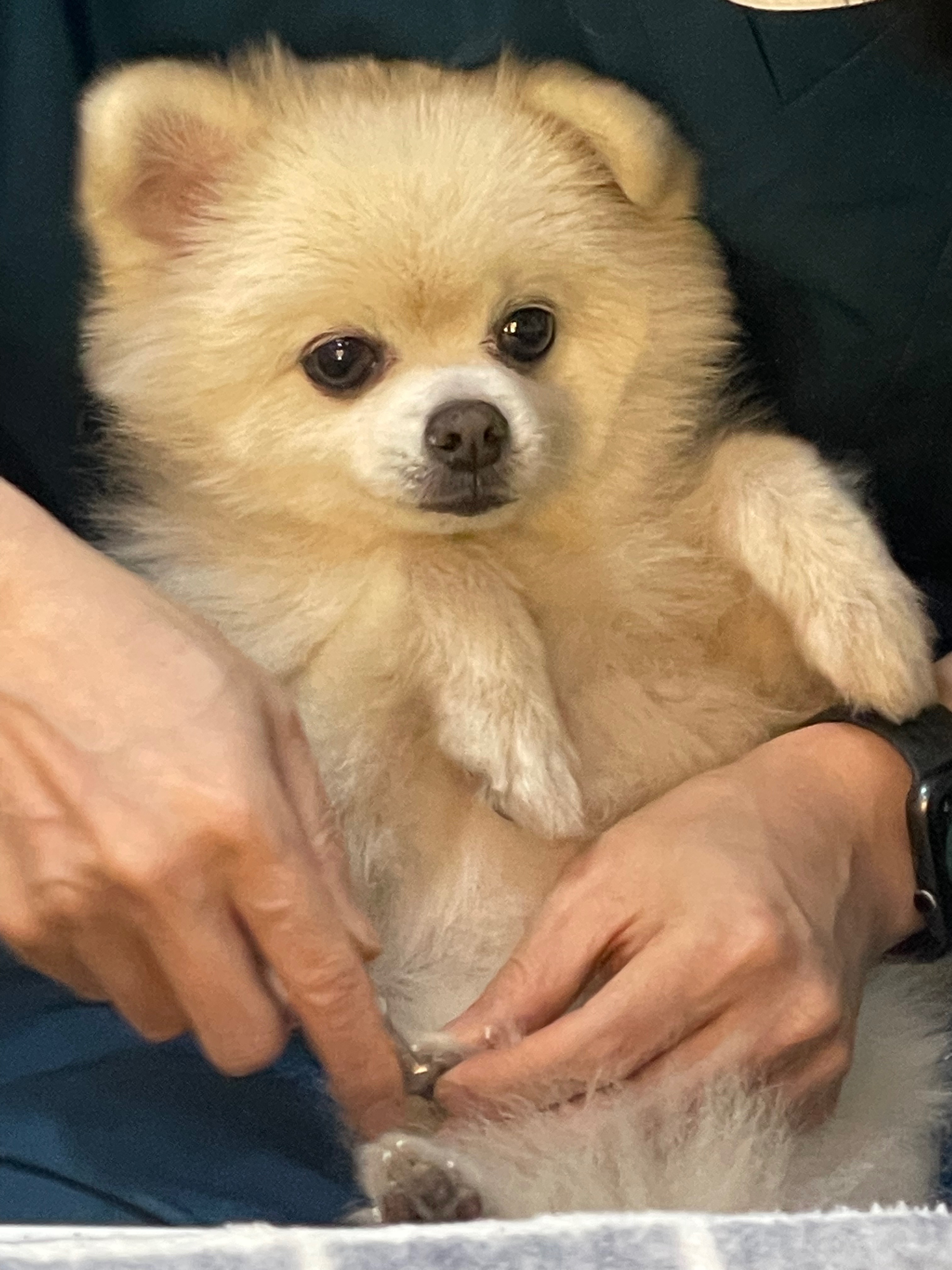 리뷰 사진 2