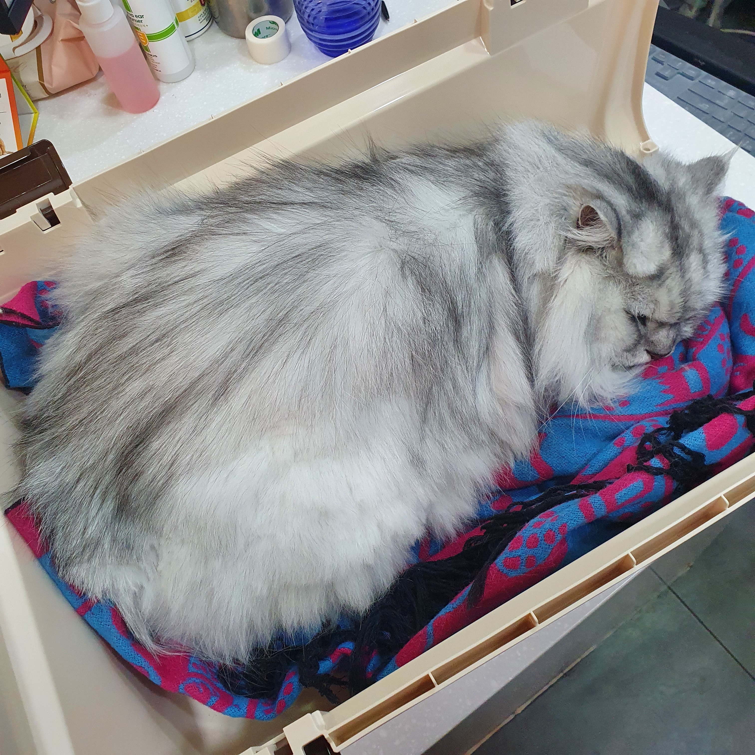 리뷰 사진 1