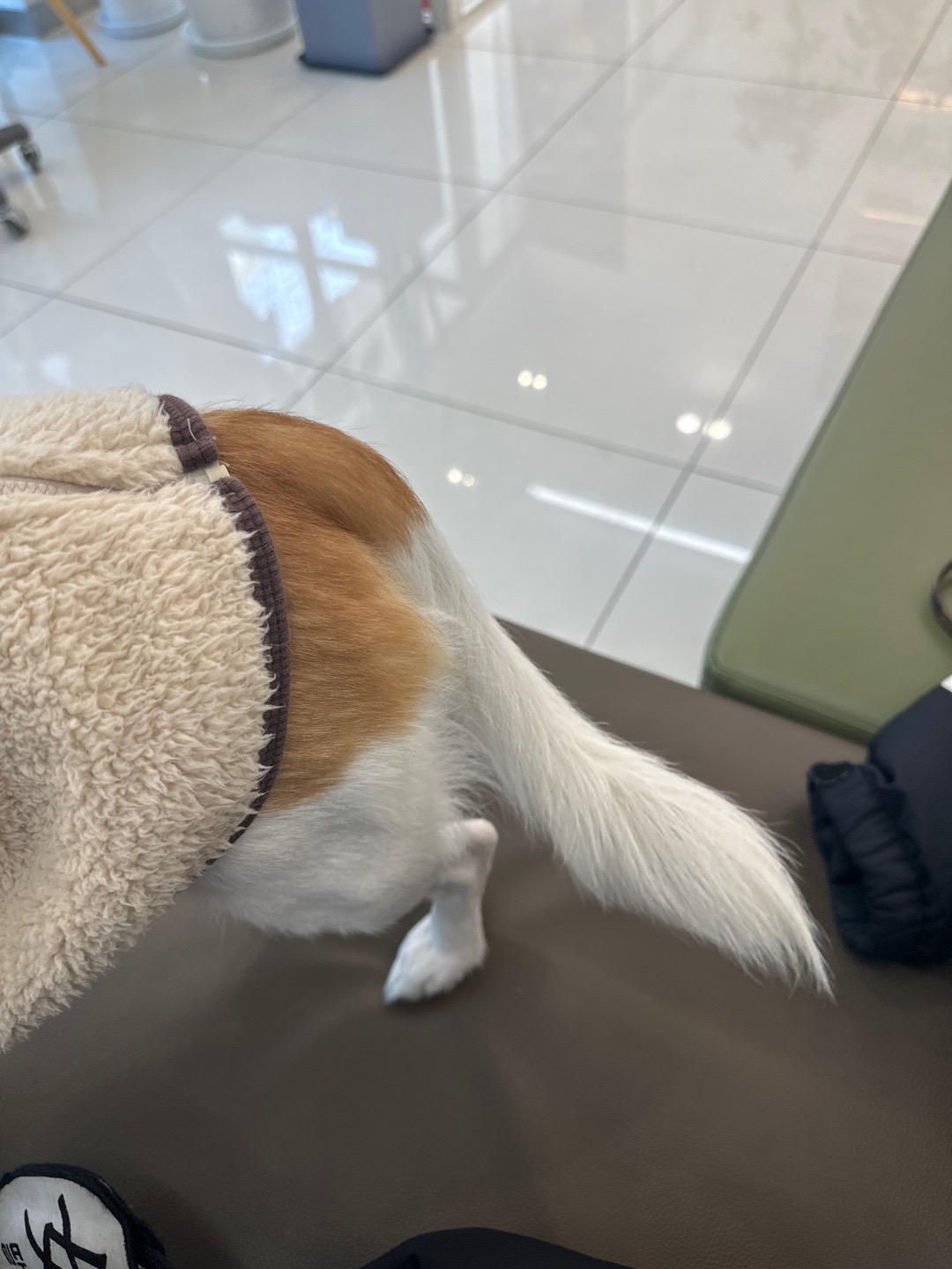 리뷰 사진 1