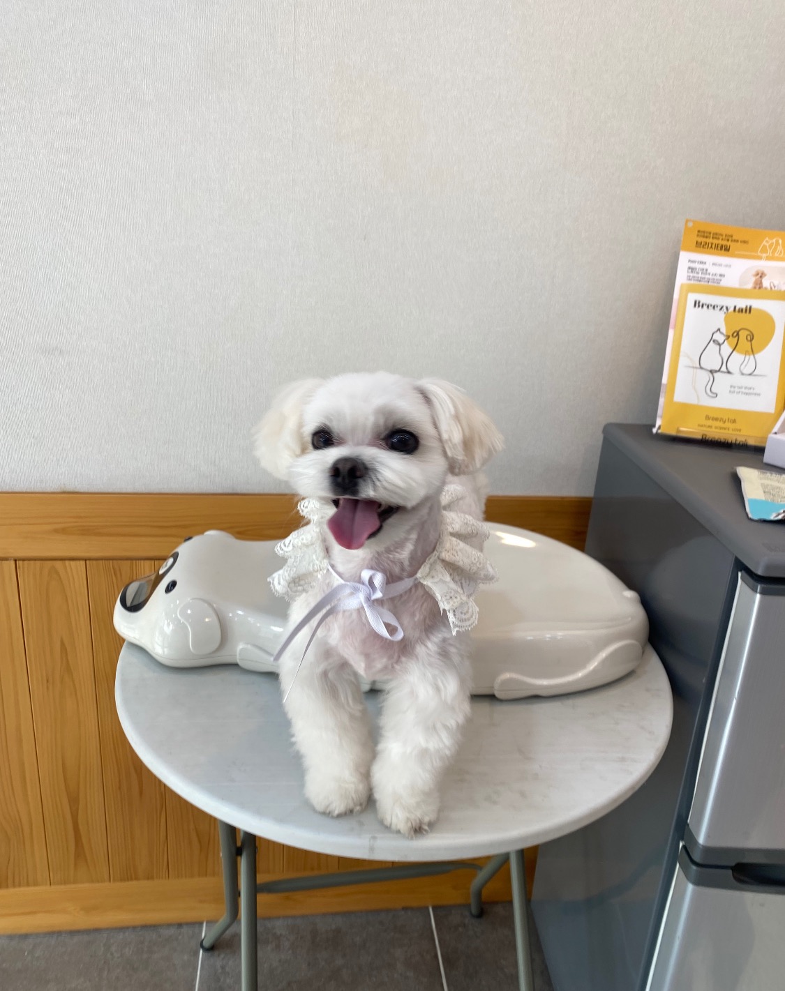 리뷰 사진 1
