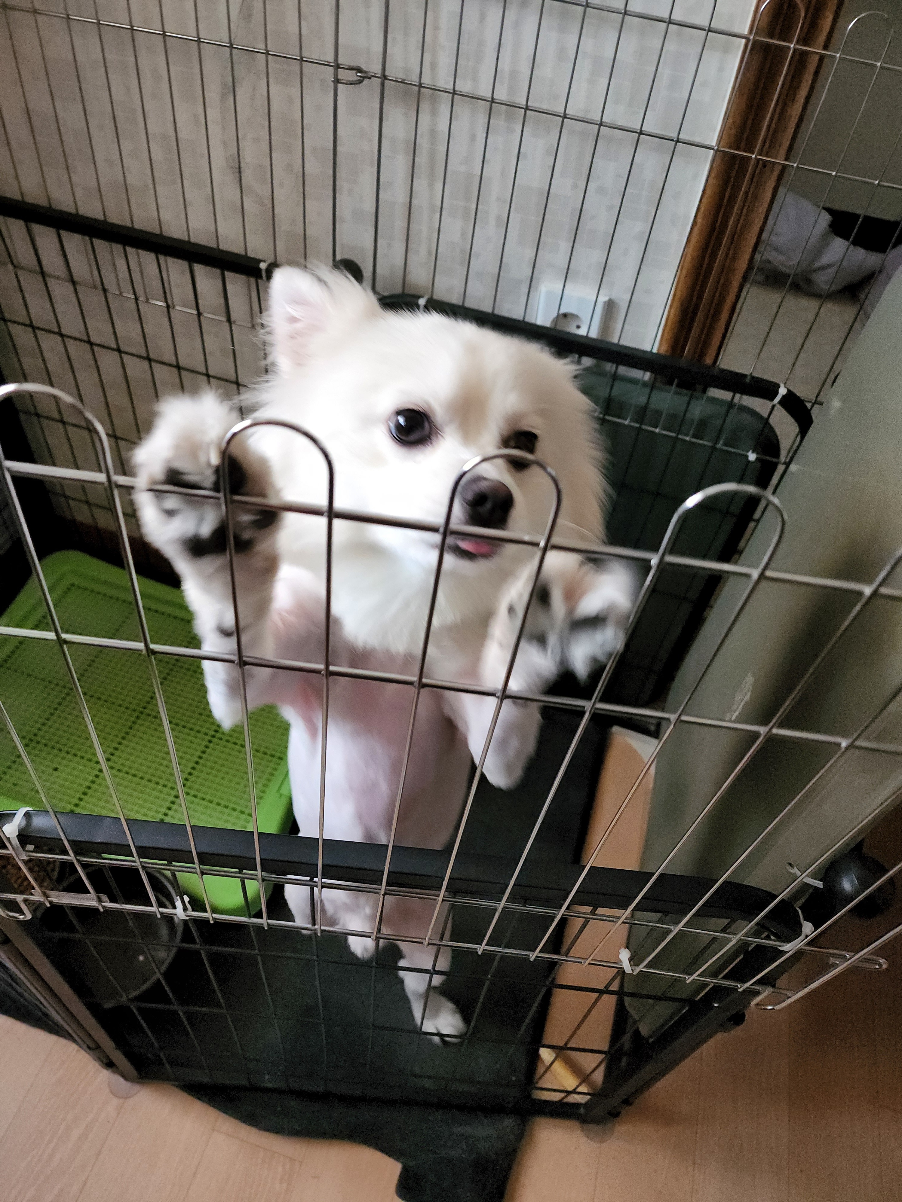 리뷰 사진 1