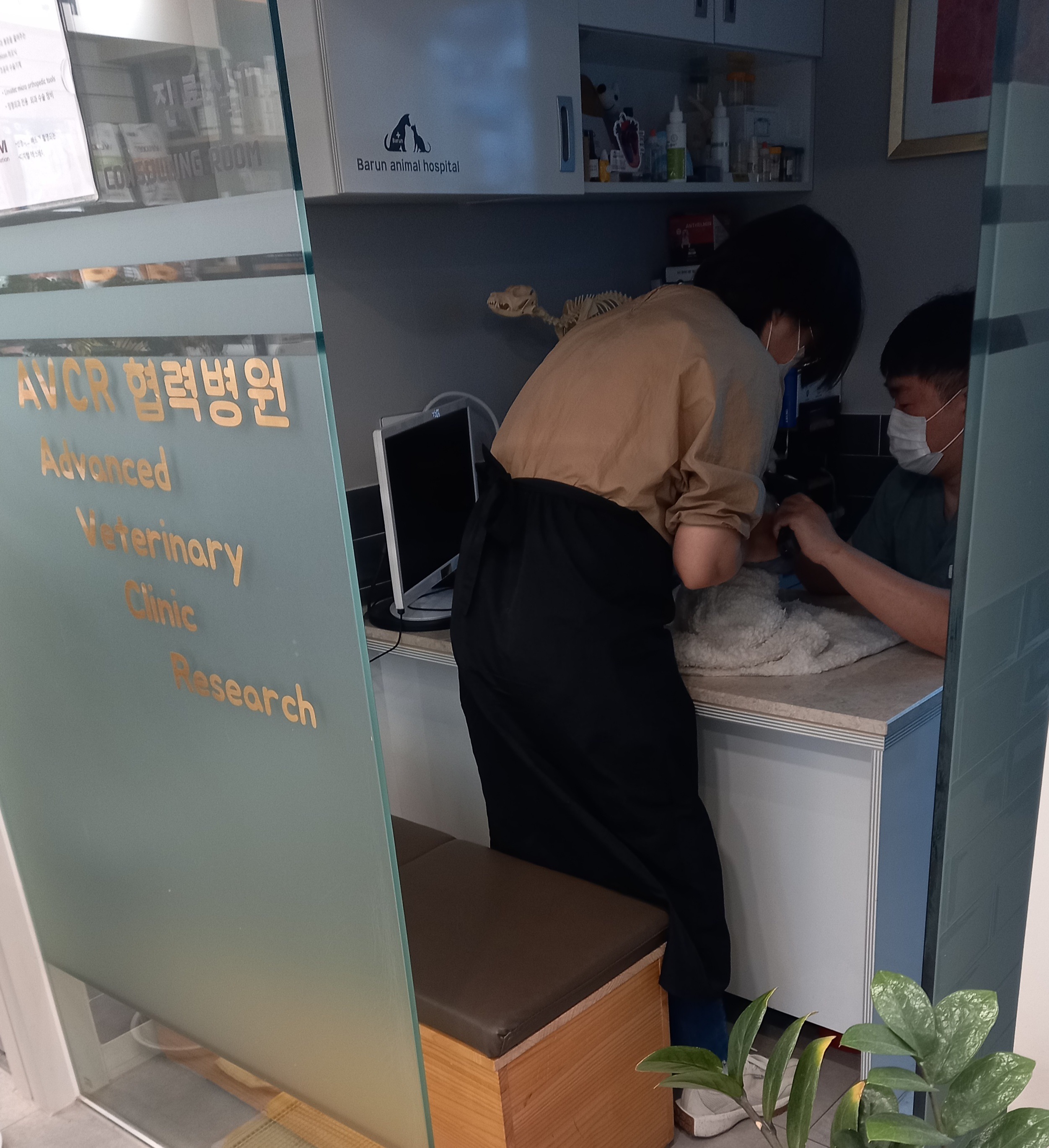 리뷰 사진 1