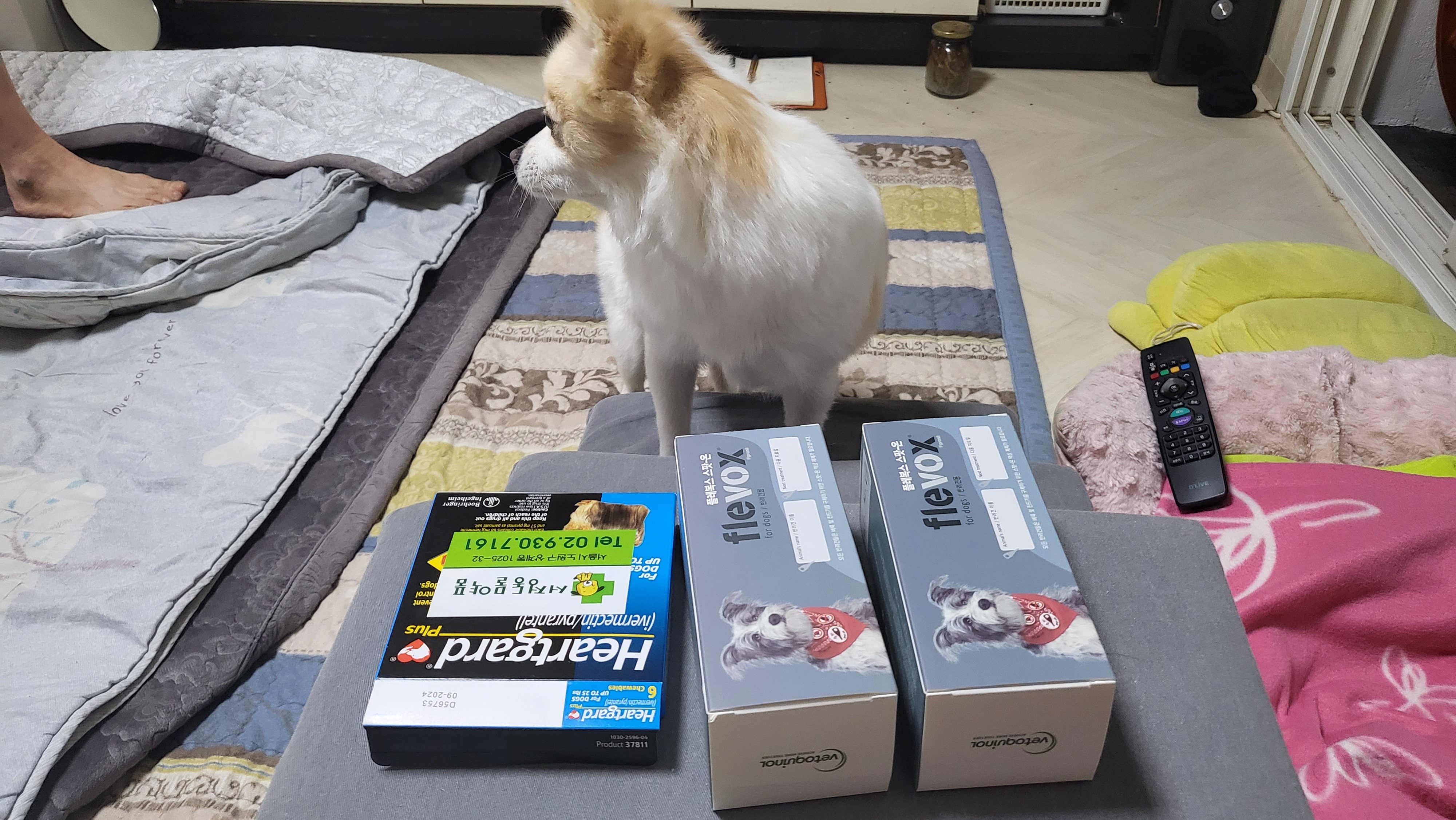 리뷰 사진 1