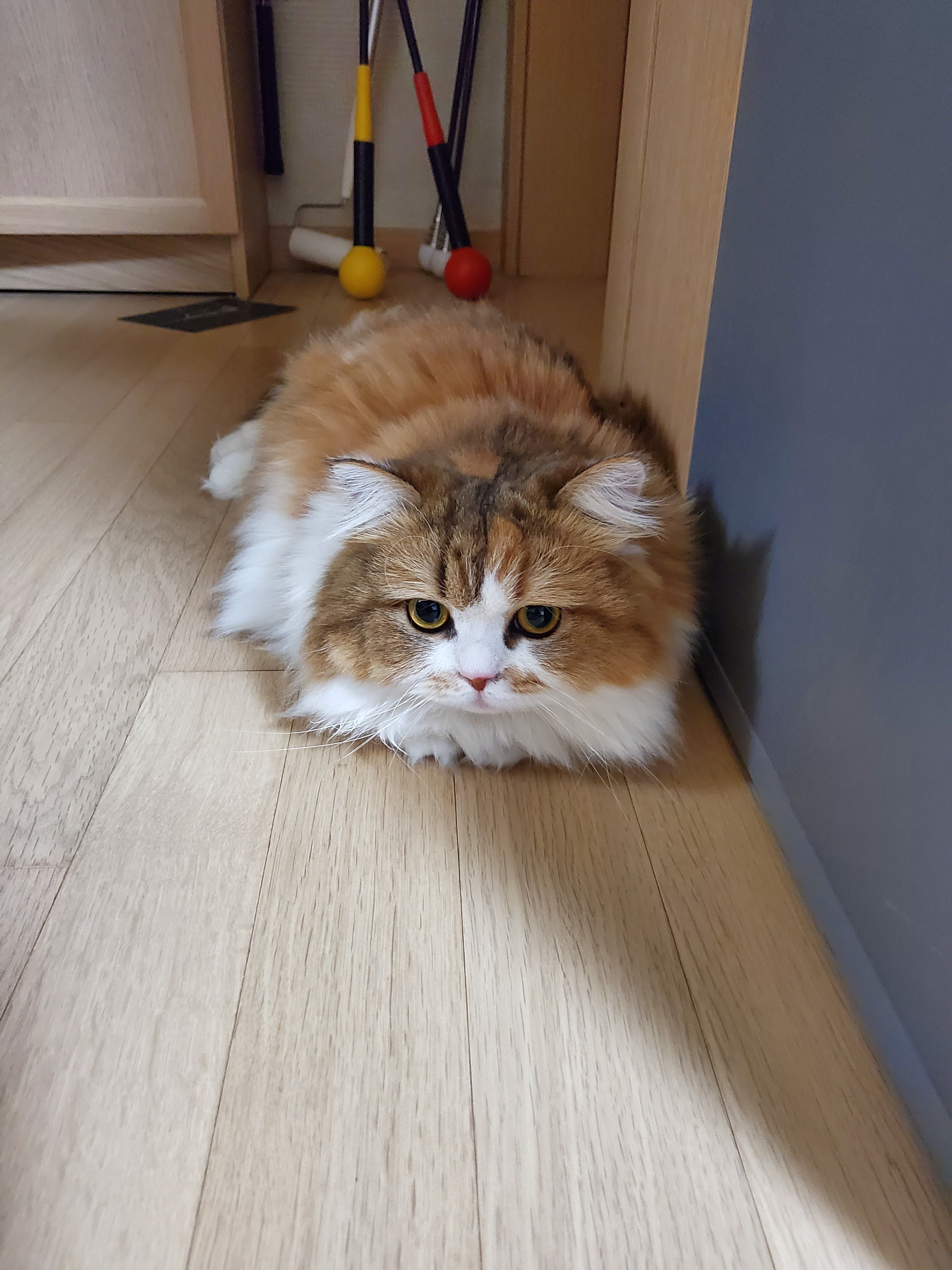 리뷰 사진 1