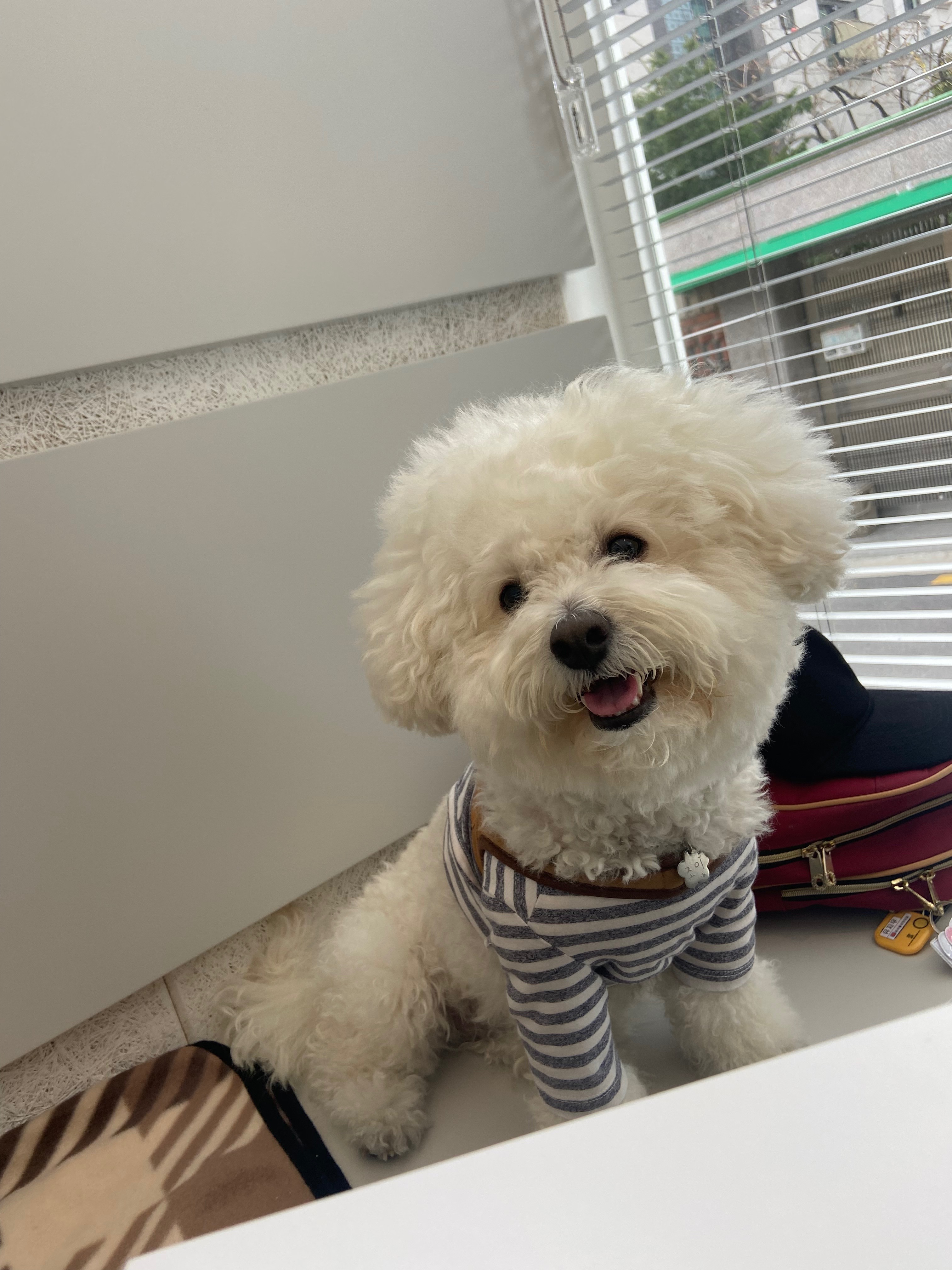리뷰 사진 1