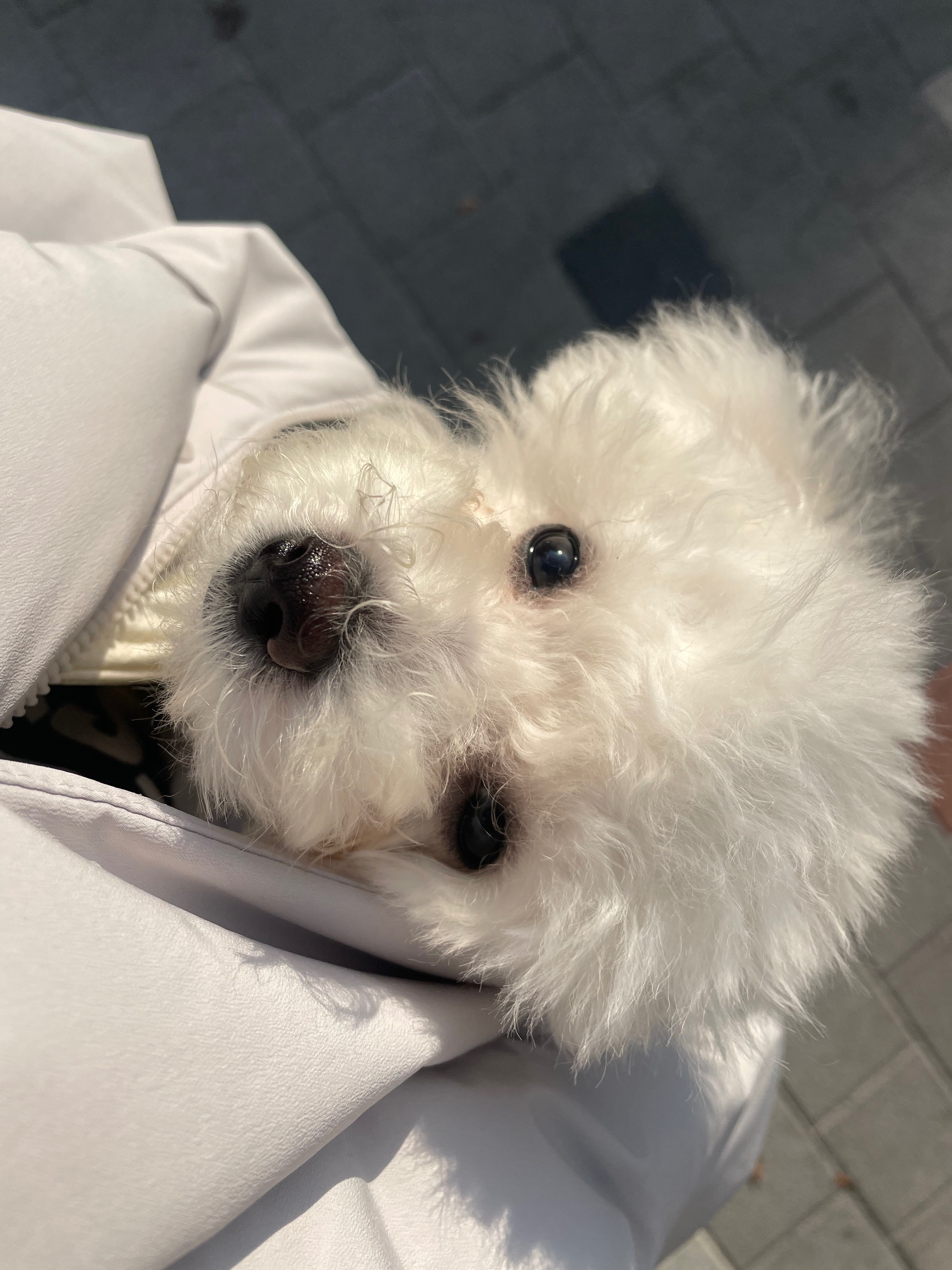 리뷰 사진 1