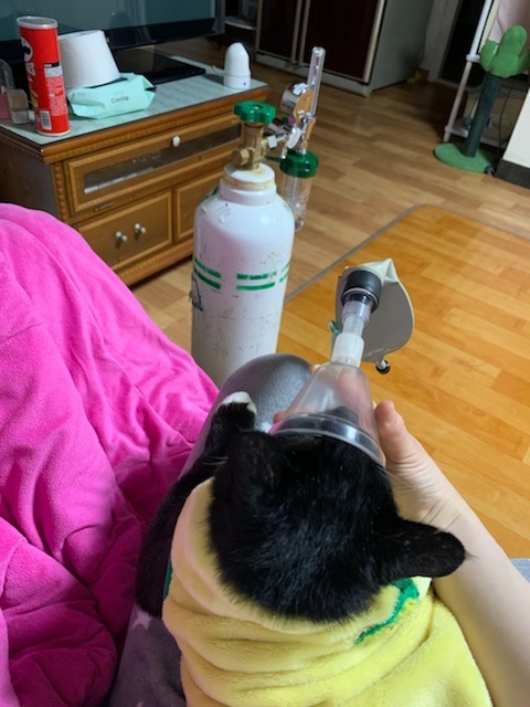 리뷰 사진 1