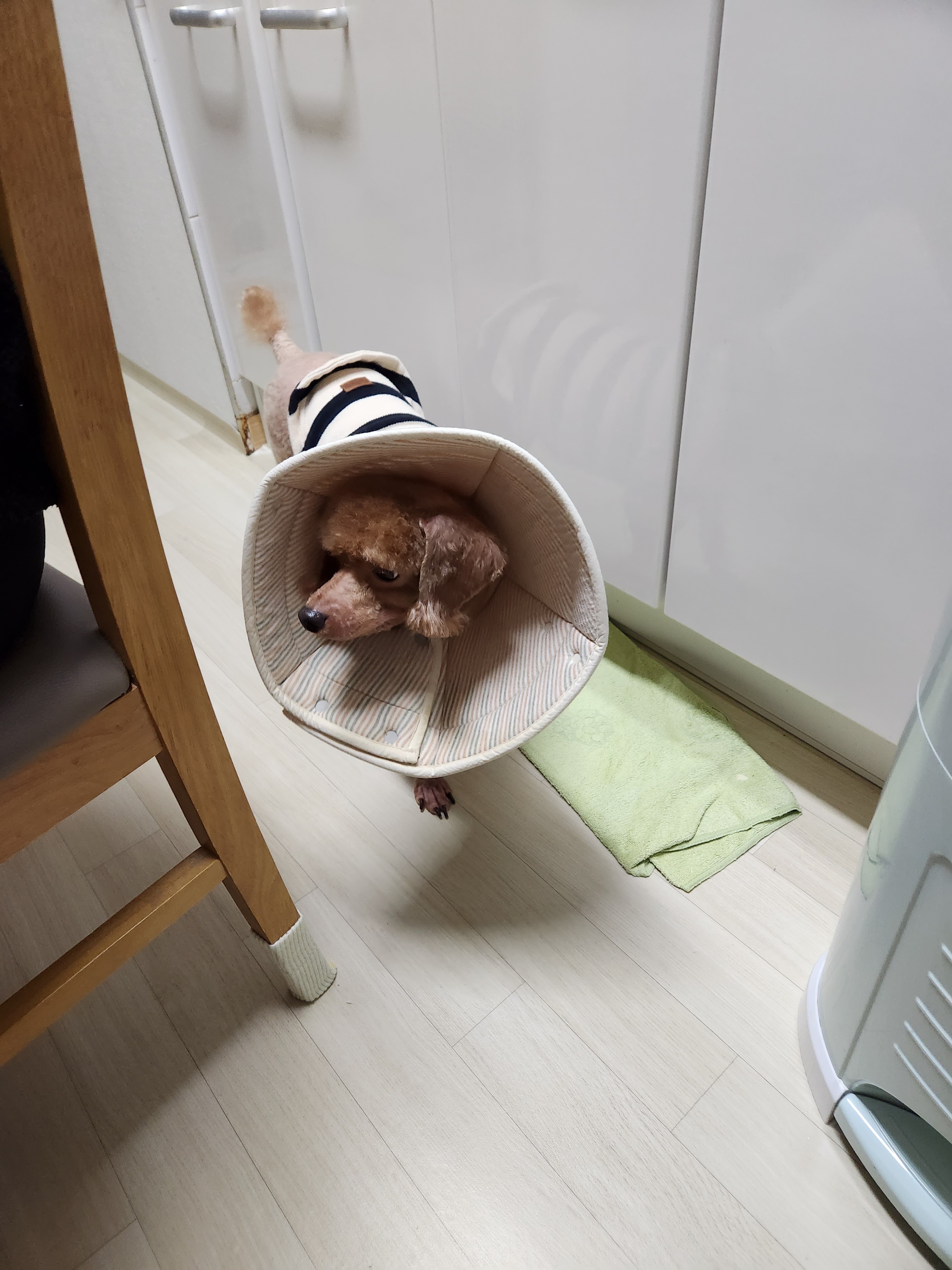 리뷰 사진 1