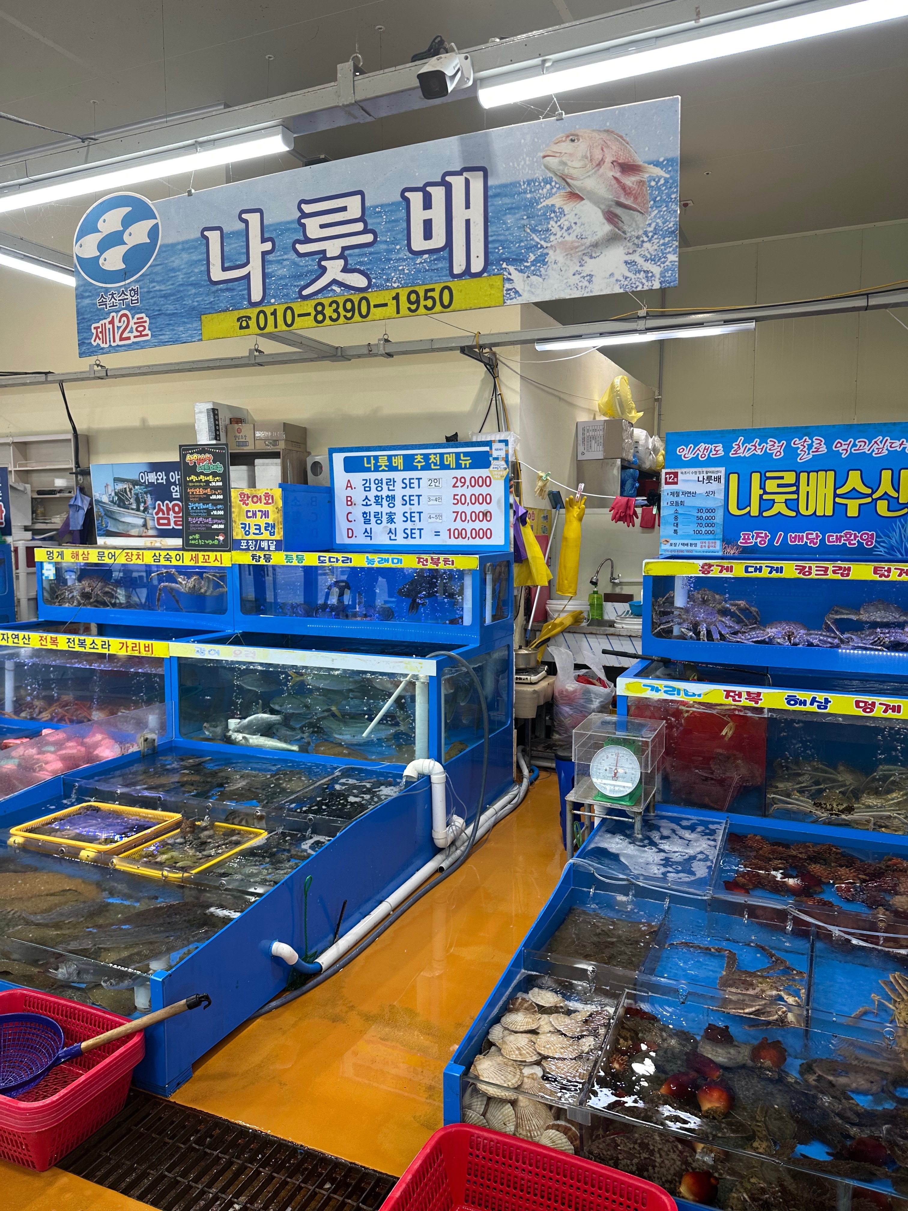 사장님 너무 친절하시고 서비스도 진짜 많이 주셨어요~ 다음에 속초 방문해도 나룻배는 꼭 올