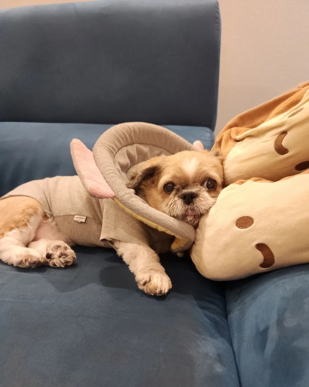 리뷰 사진 1
