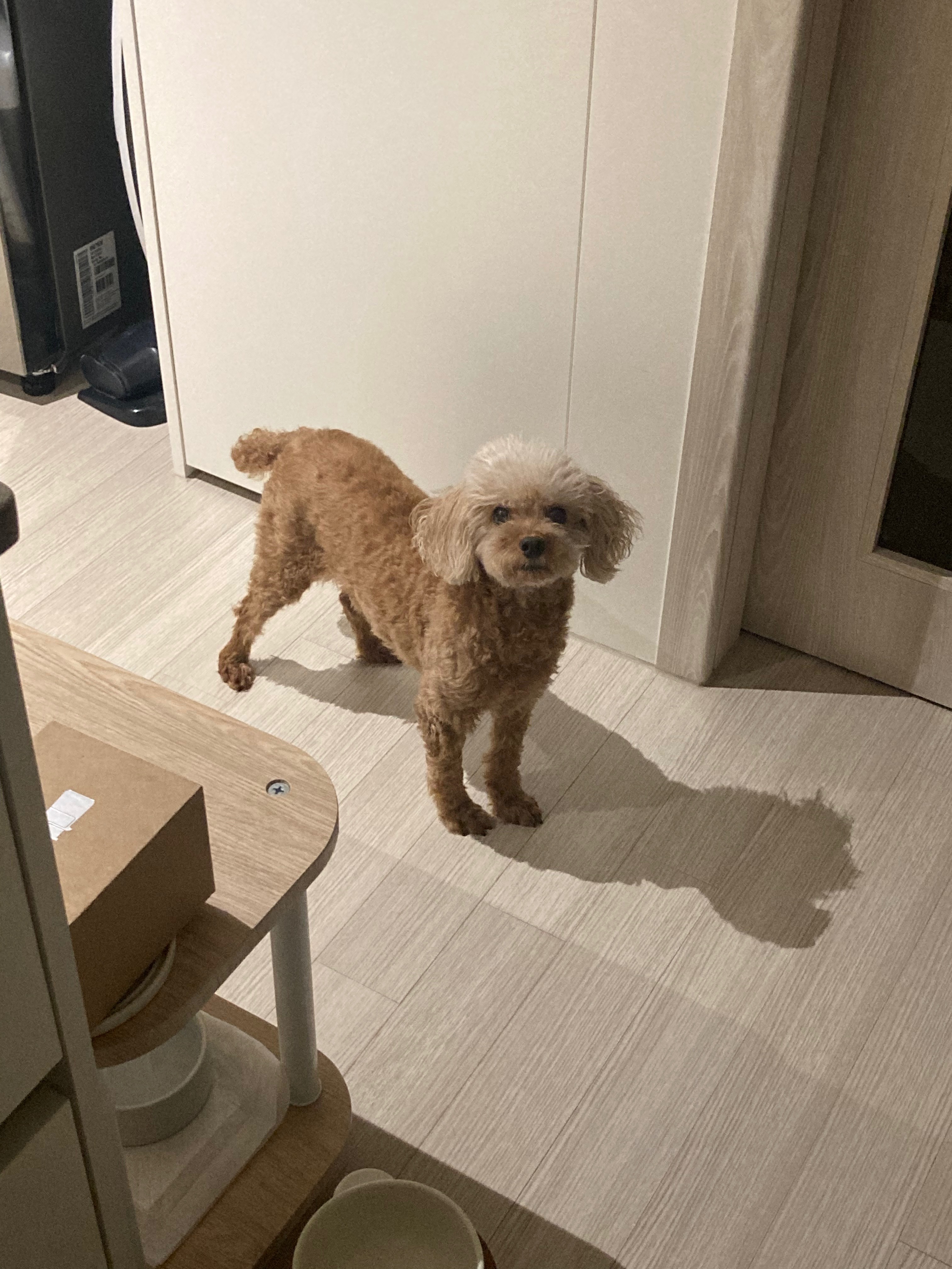 리뷰 사진 3