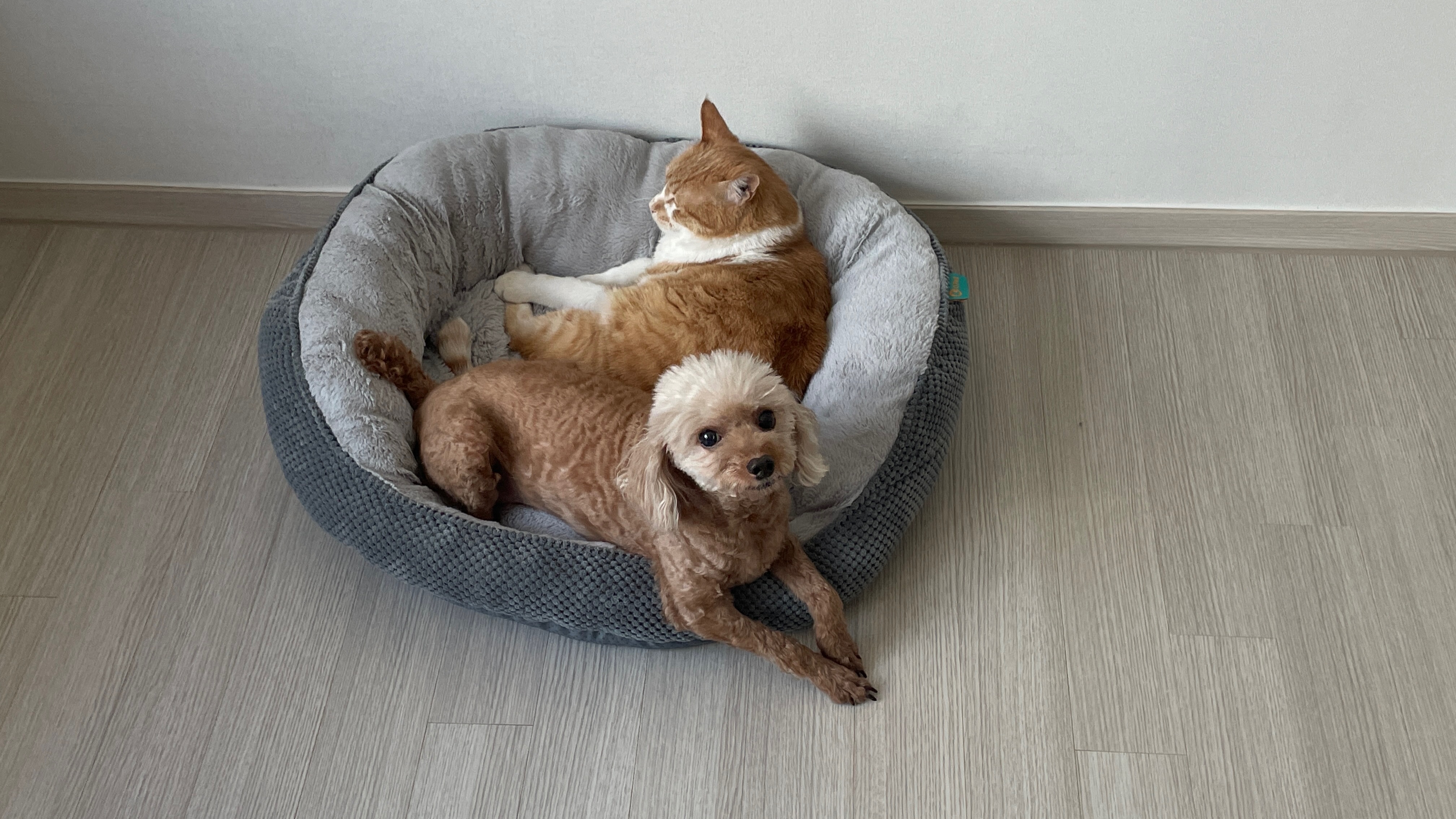 리뷰 사진 1