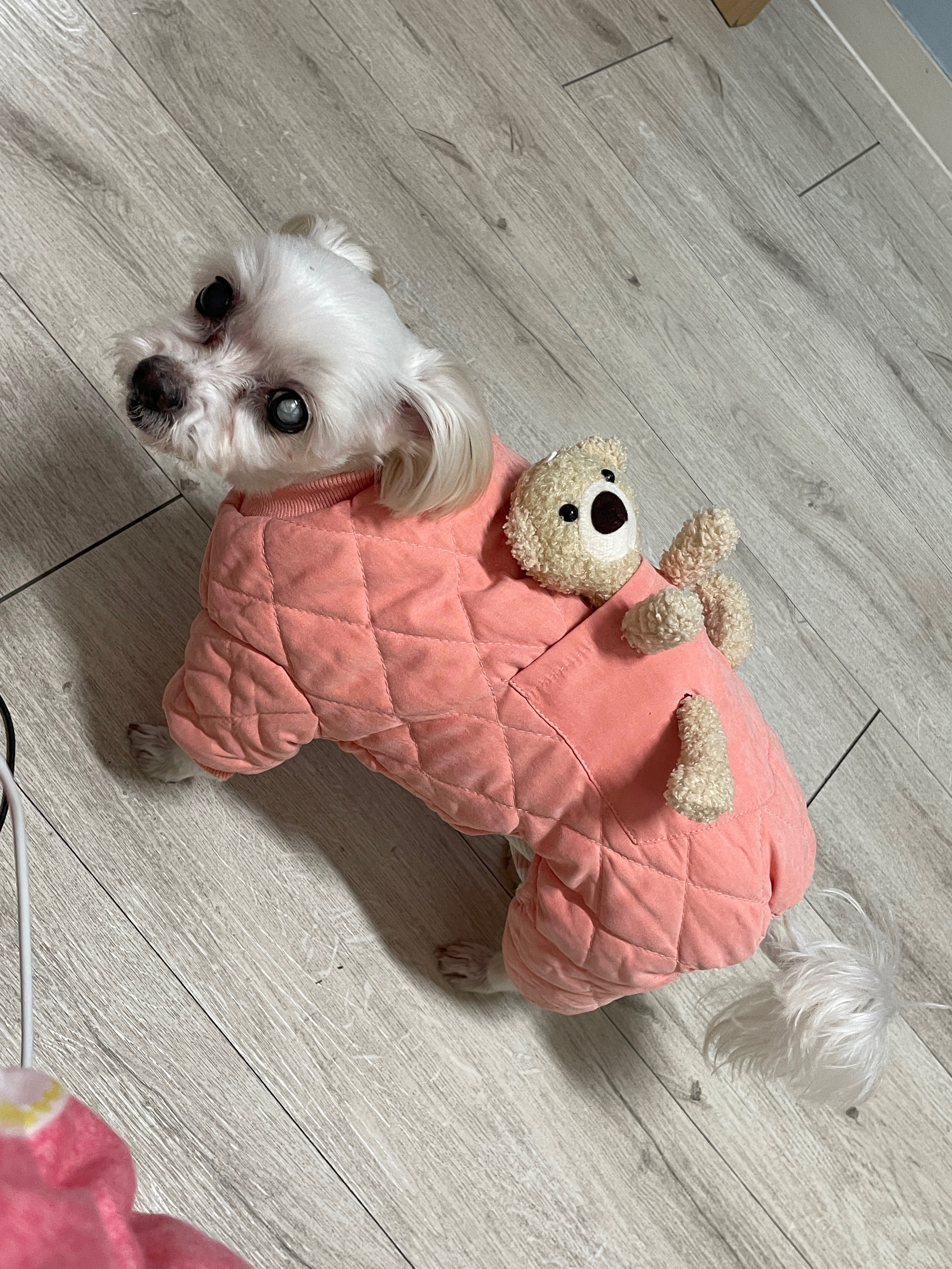 리뷰 사진 1