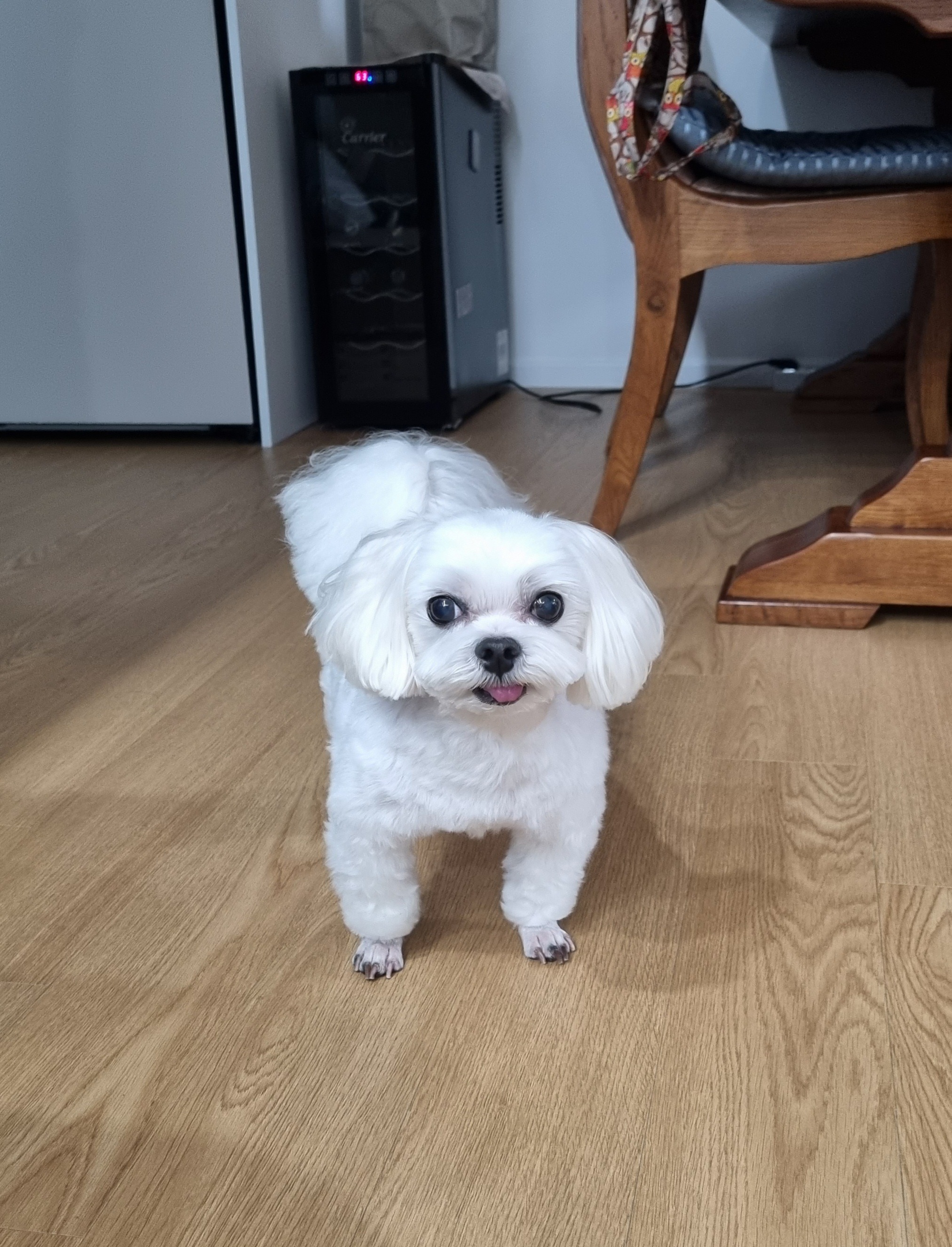 리뷰 사진 1