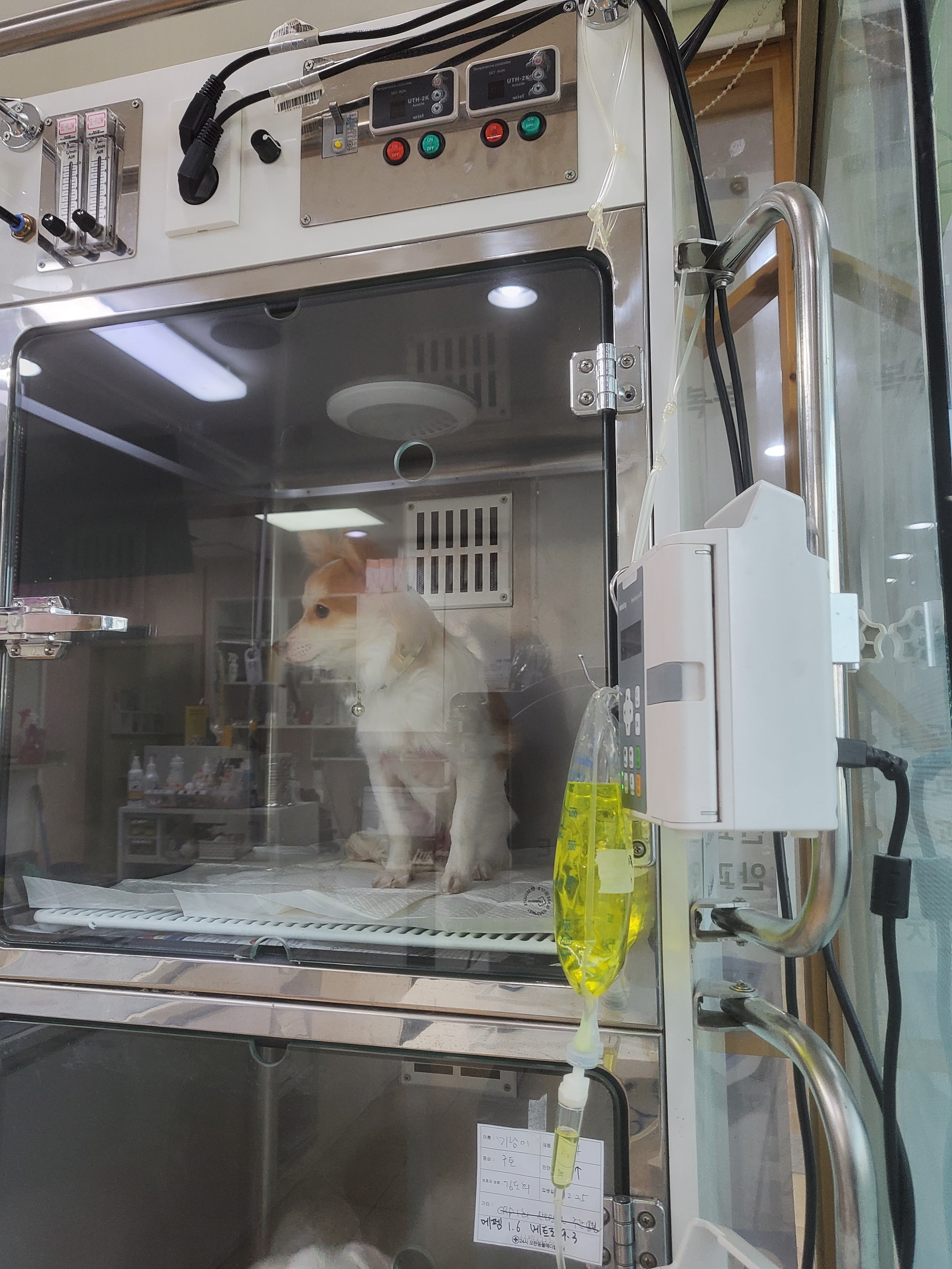 리뷰 사진 1