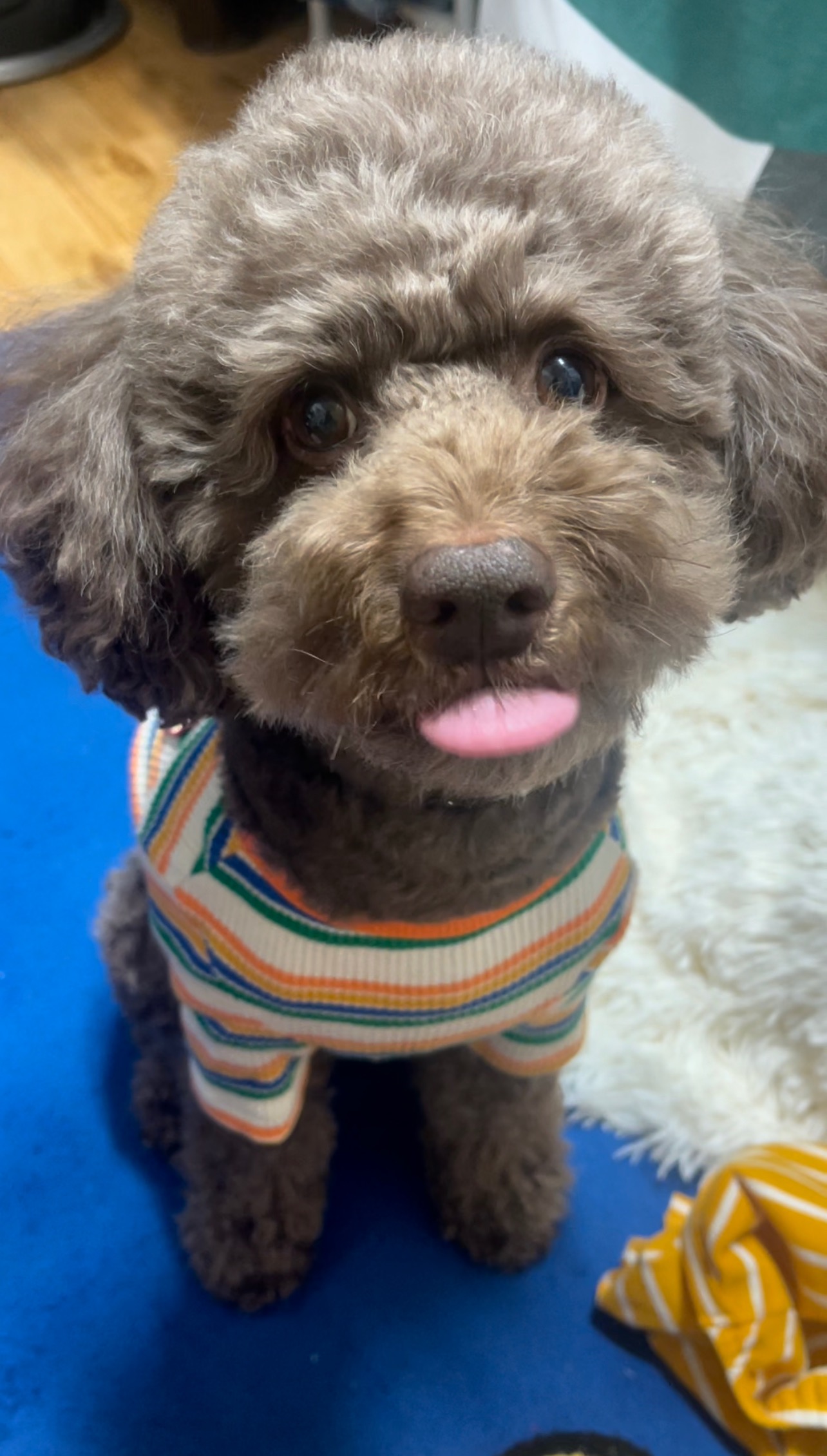 리뷰 사진 1