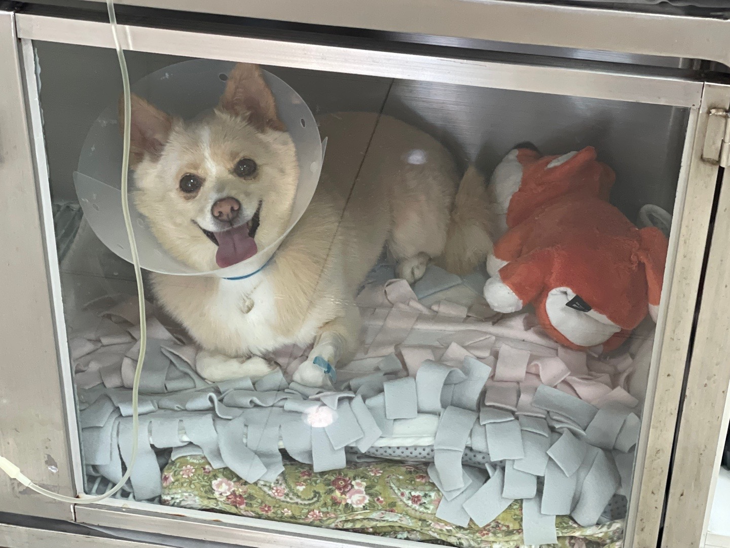 리뷰 사진 1