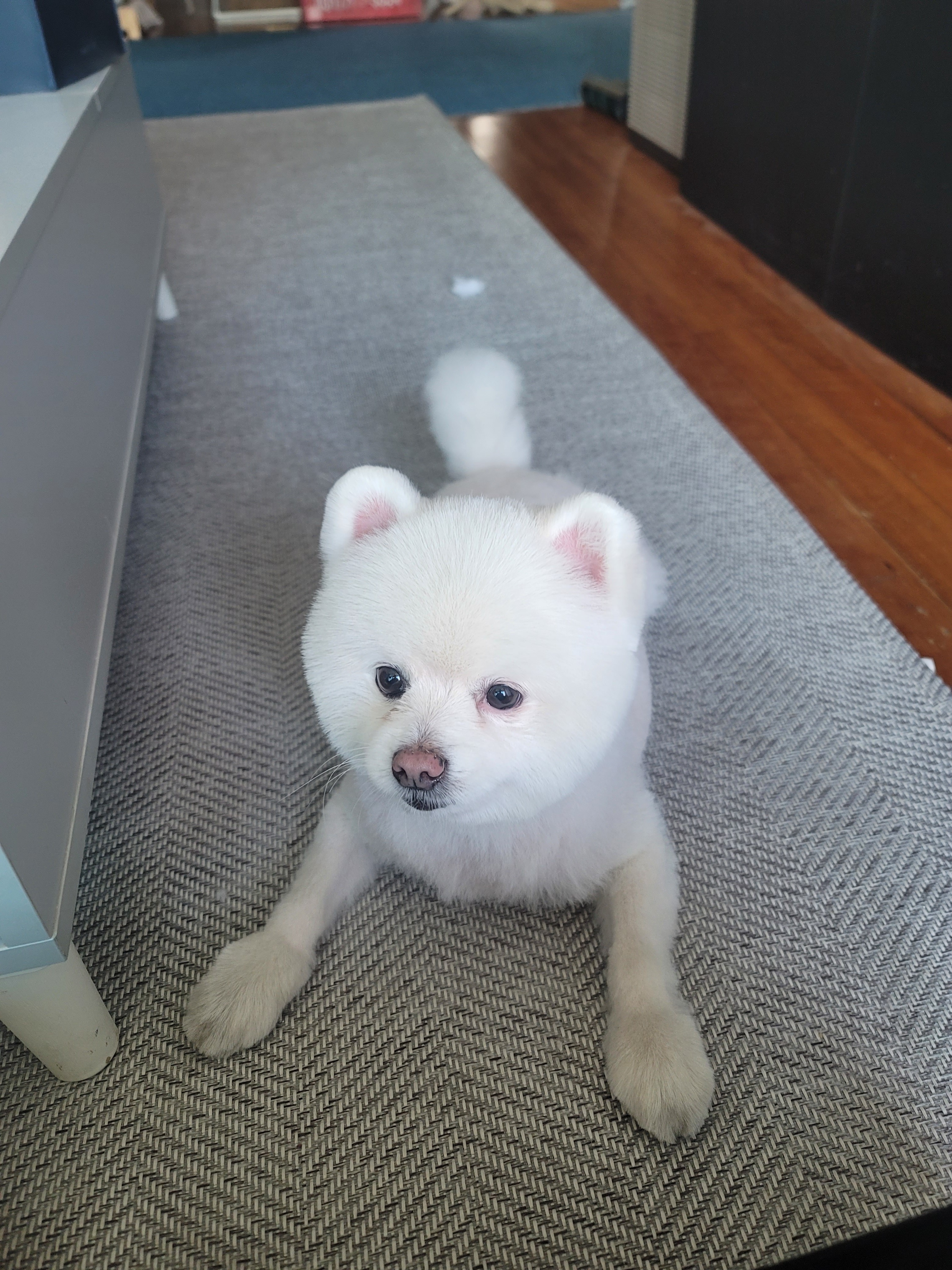리뷰 사진 1