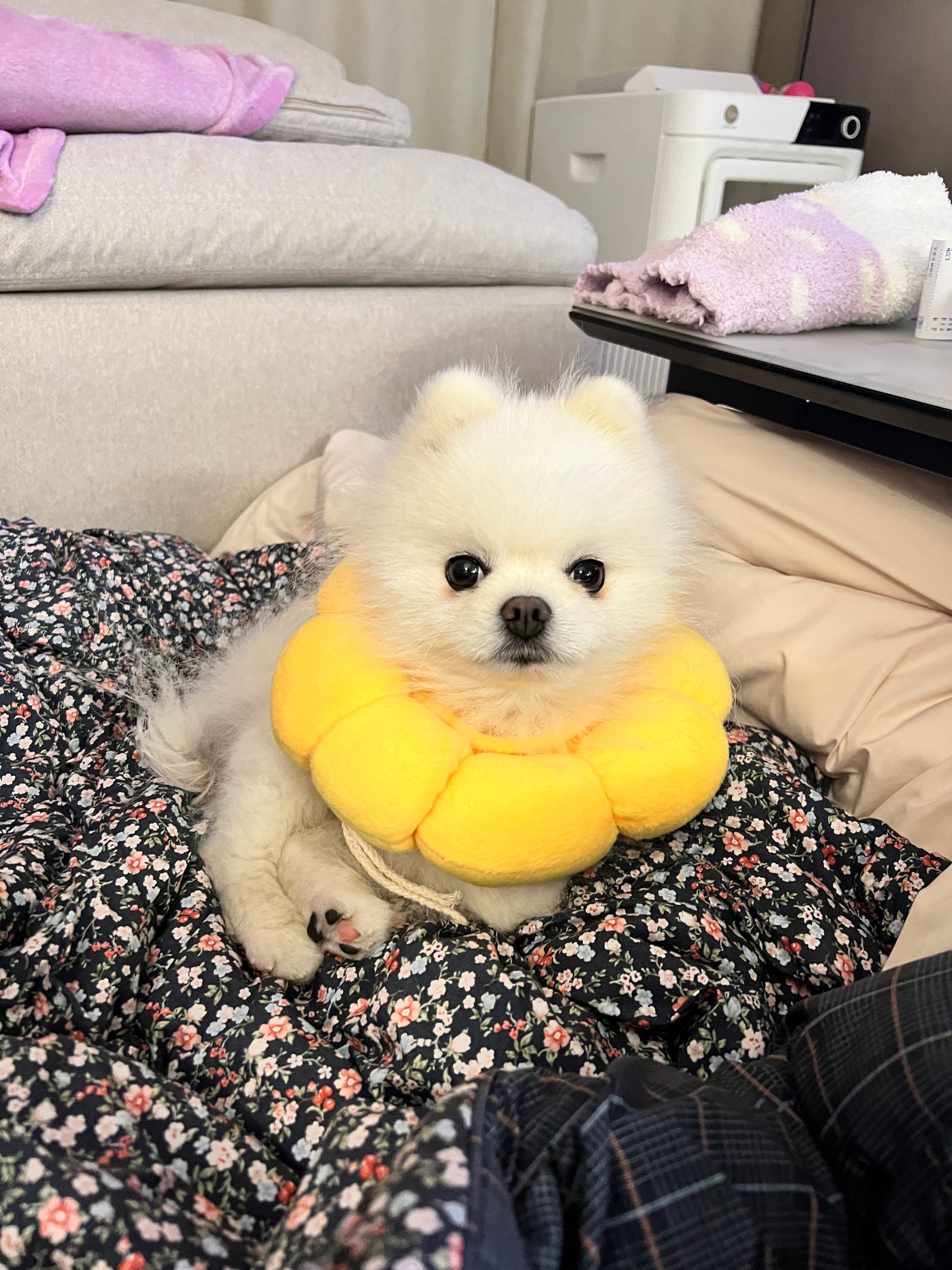 리뷰 사진 1