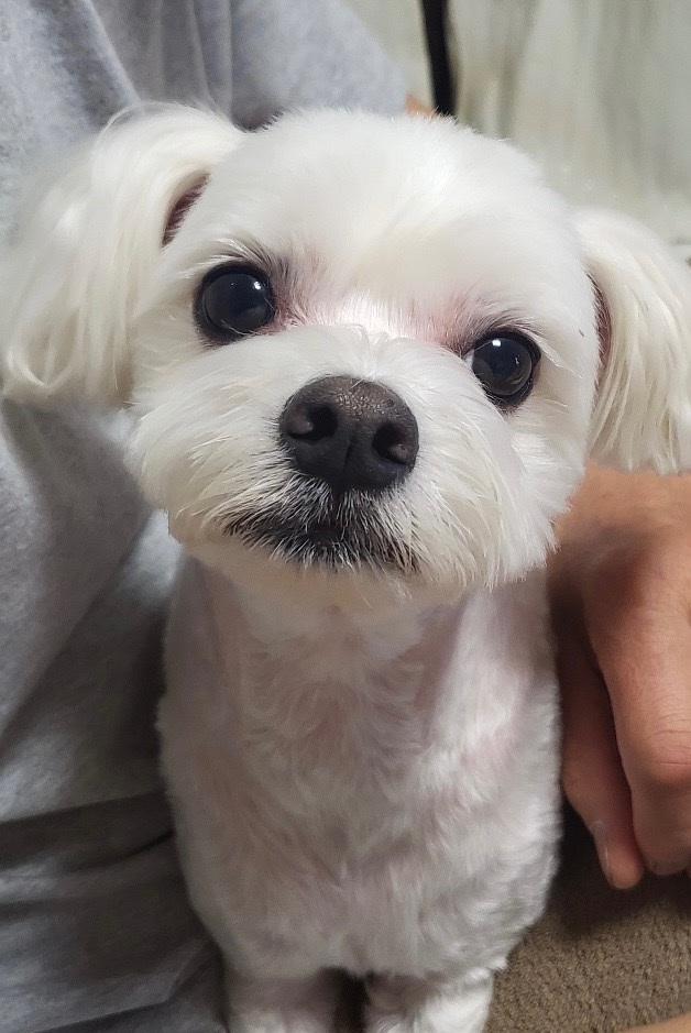 리뷰 사진 1