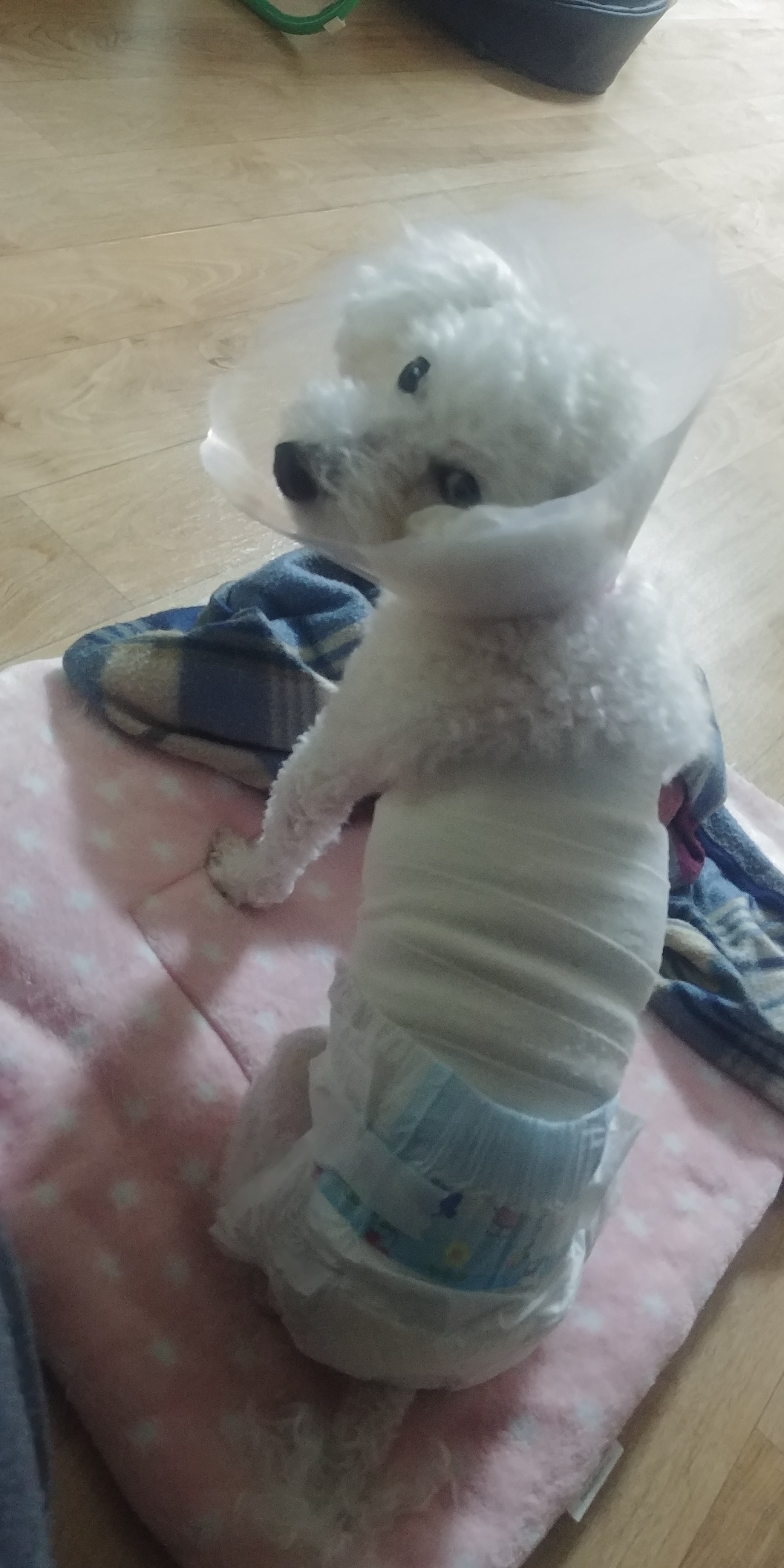 리뷰 사진 1