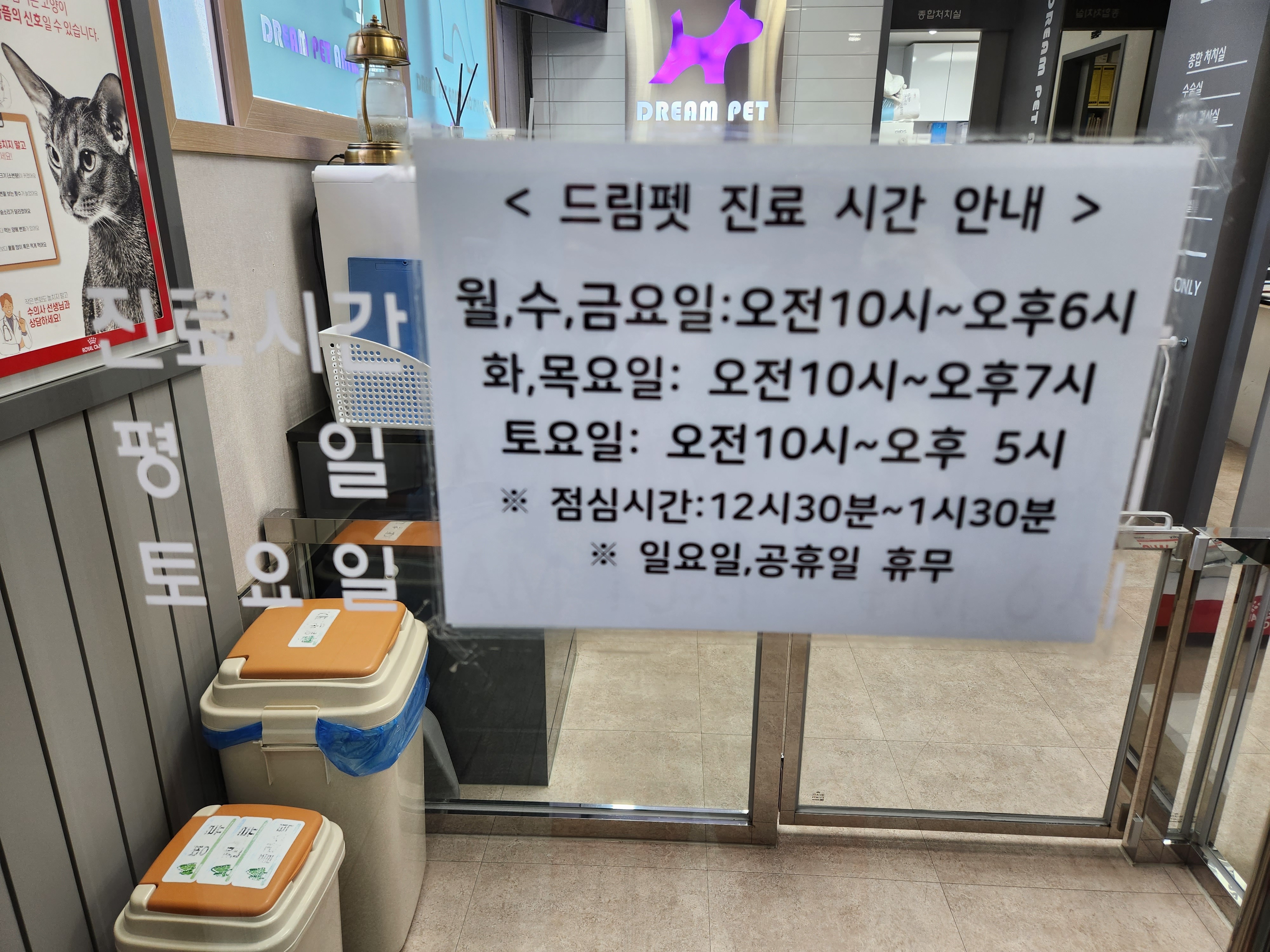 드림펫 동물병원 사진 3