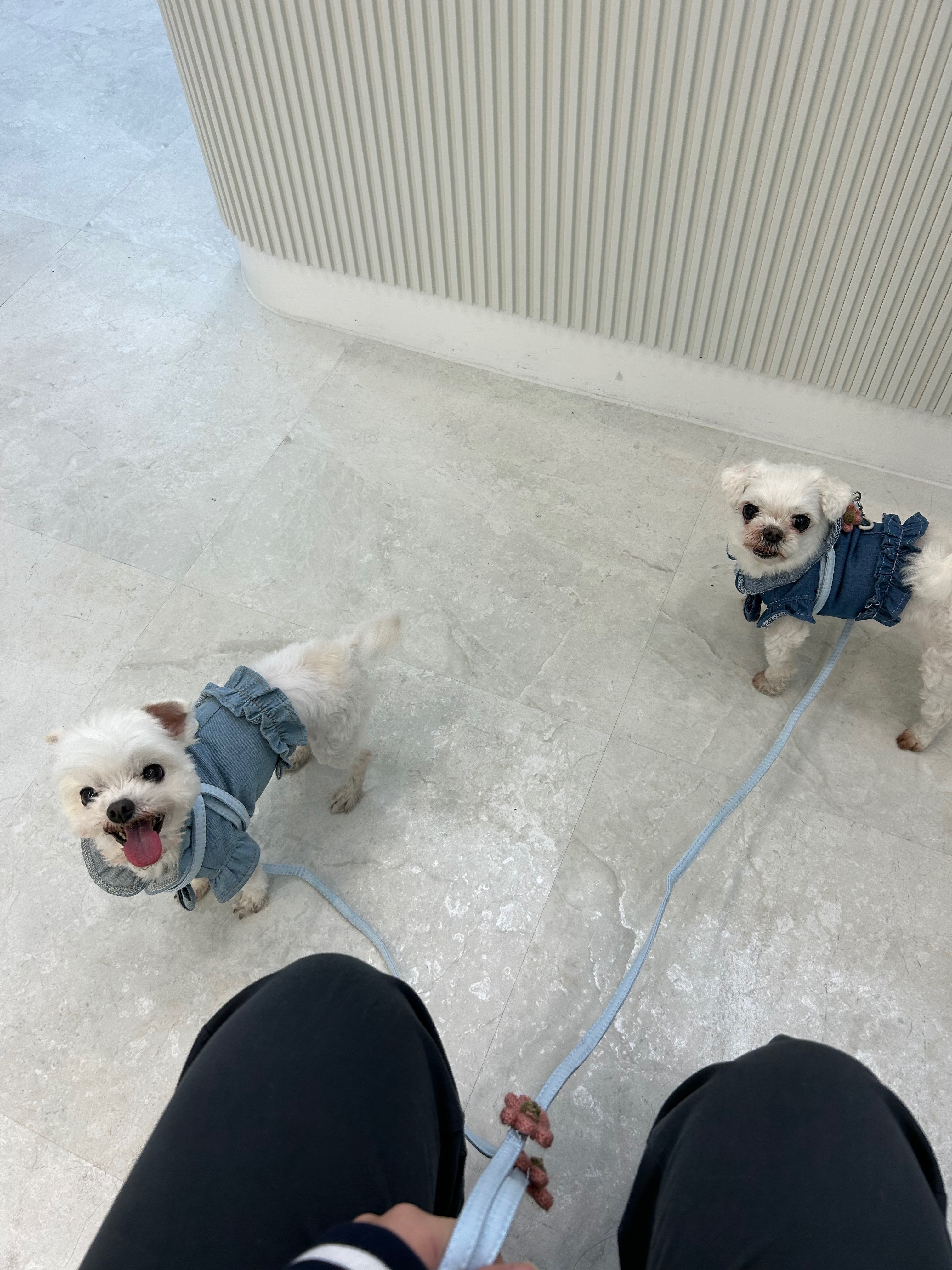 리뷰 사진 1