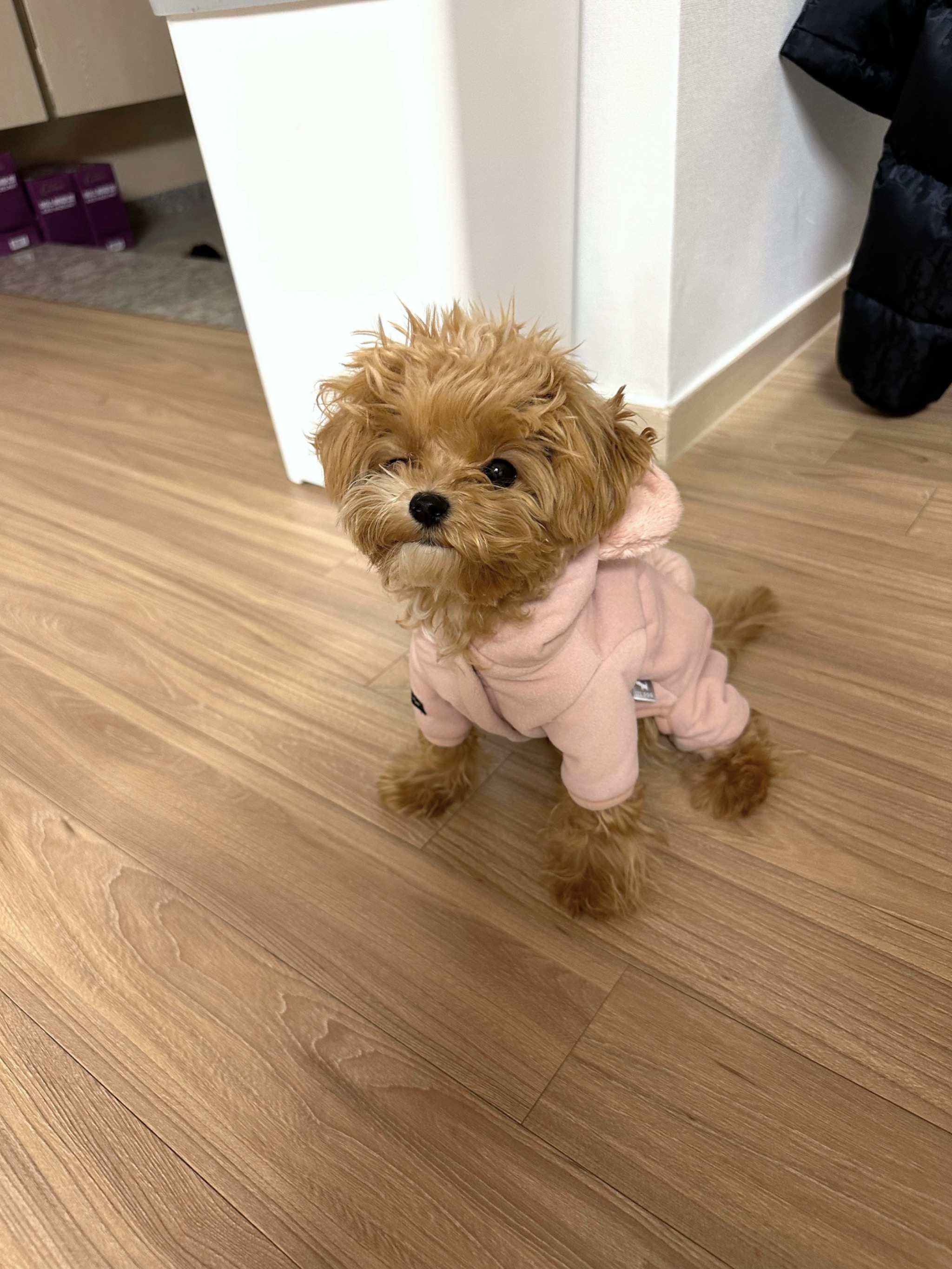 리뷰 사진 1