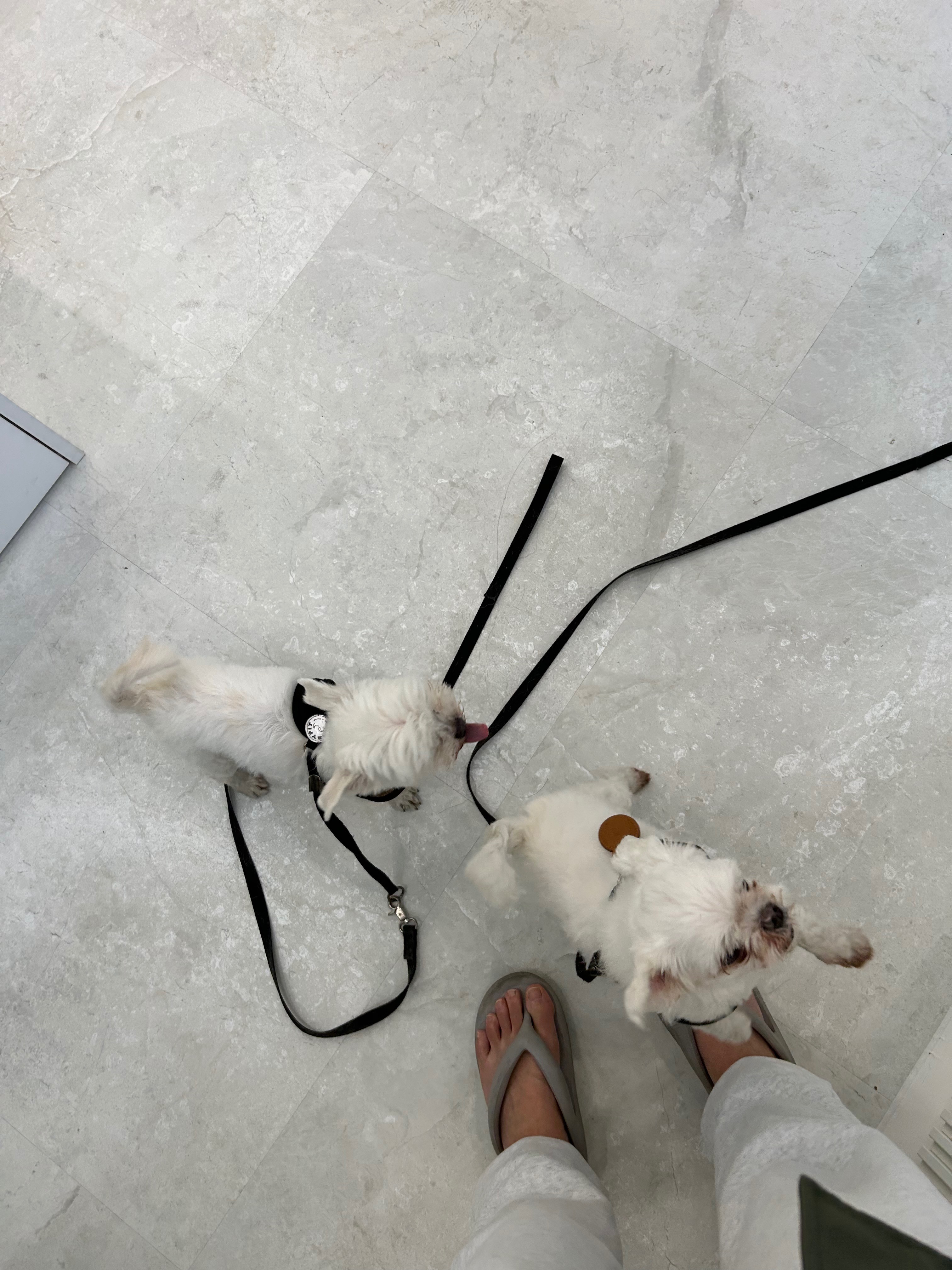리뷰 사진 2